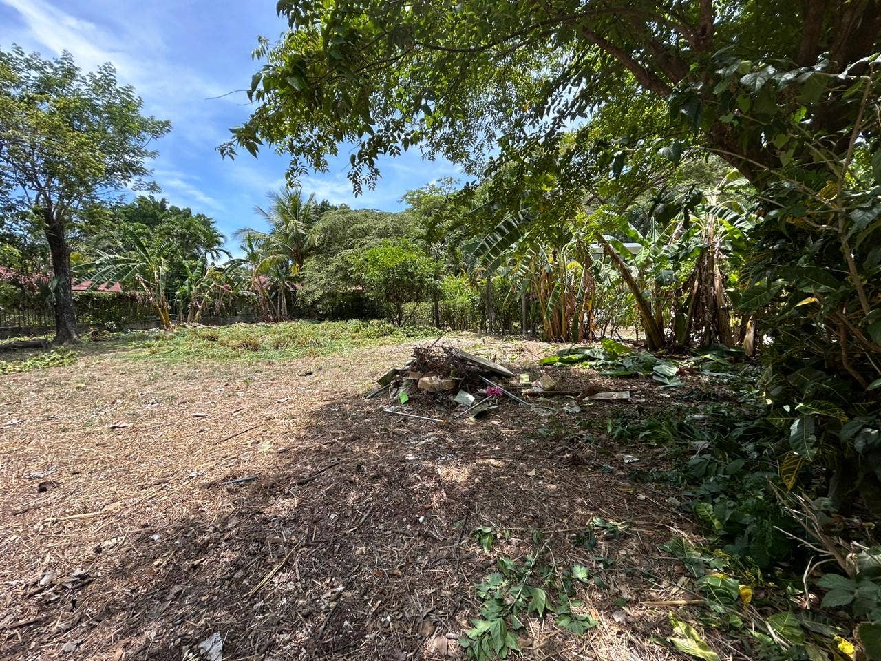 Beachside Lot for Sale — foto 4 de 5