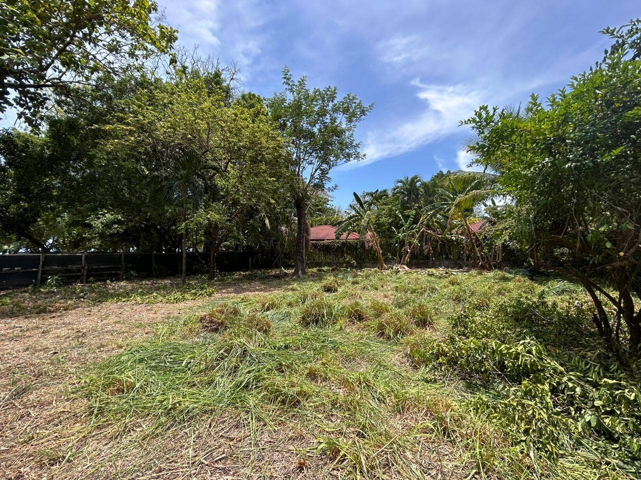 Beachside Lot for Sale, Santa Teresa, Cobano, Puntarenas, Puntarenas, Costa Rica 60111