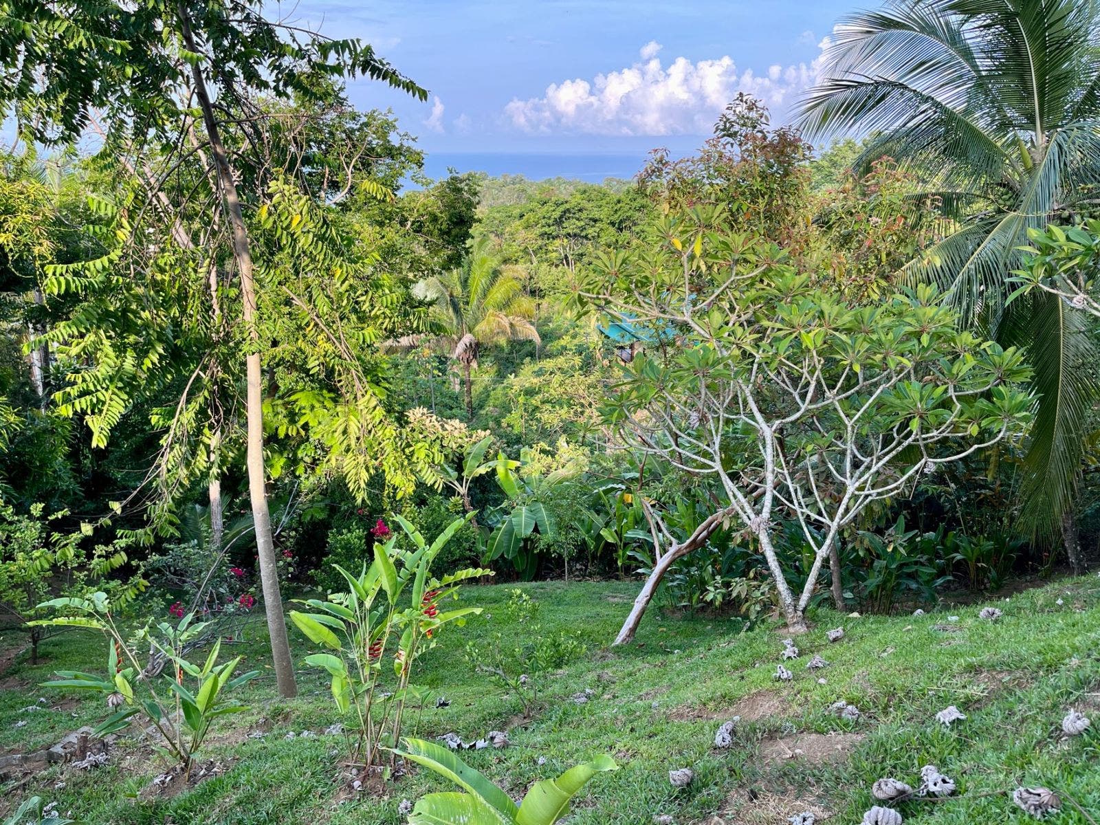 Charming Home in Playa Hermosa with Stunning Sunset and Ocean View — photo 14 of 18
