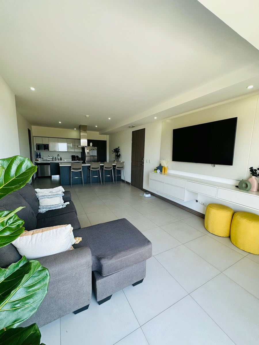 Condominium Novaflats — photo 8 of 18