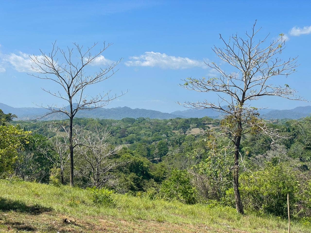 Santiago Lot With Views , Santiago, Santiago, Santa Teresa, Cobano, Puntarenas, Puntarenas, Costa Rica 60111 Santiago Lot With Views , Santiago, Santiago, Santa Teresa, Cobano, Puntarenas, Puntarenas, Costa Rica 60111