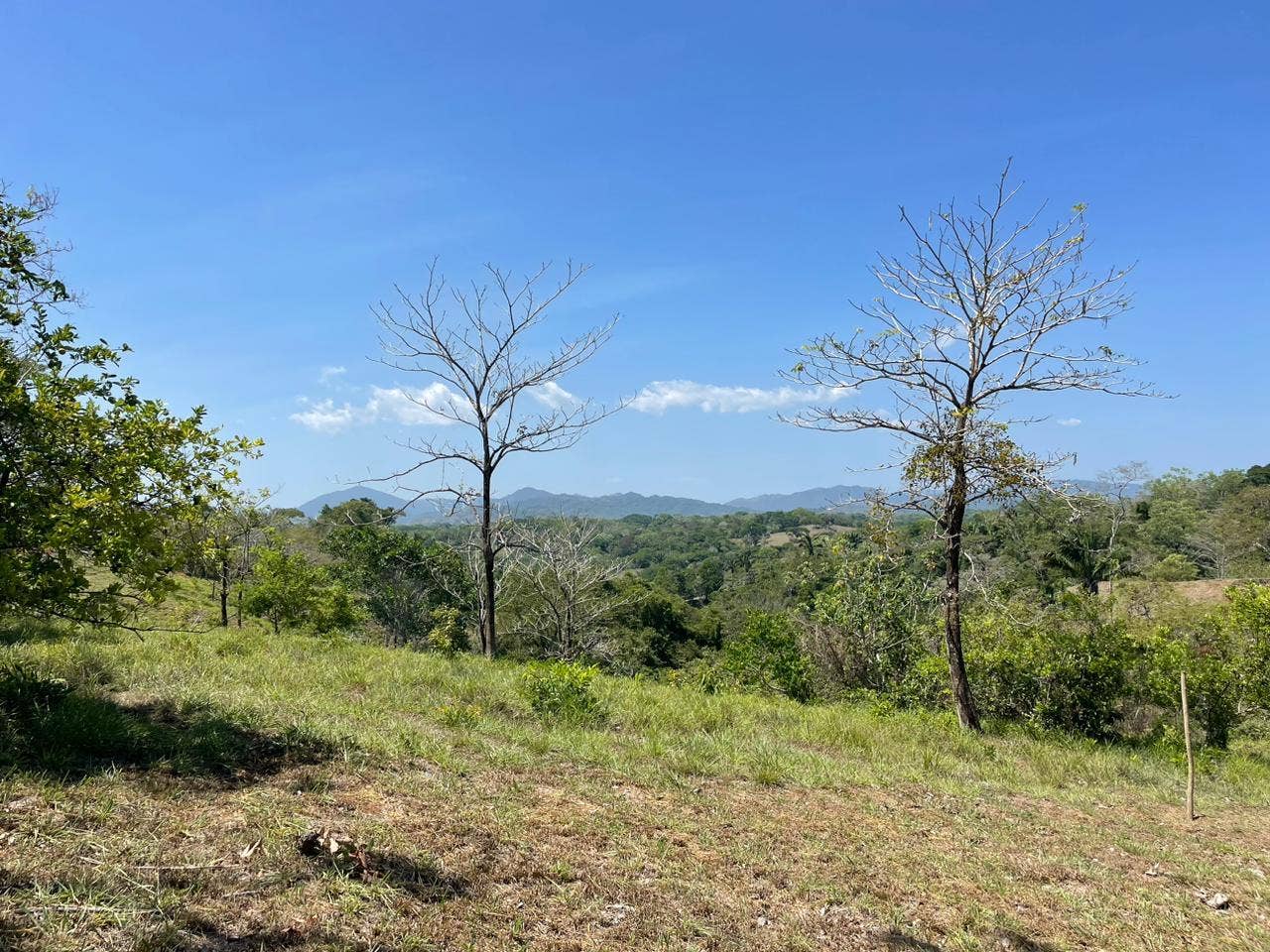 Santiago Lot With Views , Santiago, Santiago, Santa Teresa, Cobano, Puntarenas, Puntarenas, Costa Rica 60111 Santiago Lot With Views , Santiago, Santiago, Santa Teresa, Cobano, Puntarenas, Puntarenas, Costa Rica 60111
