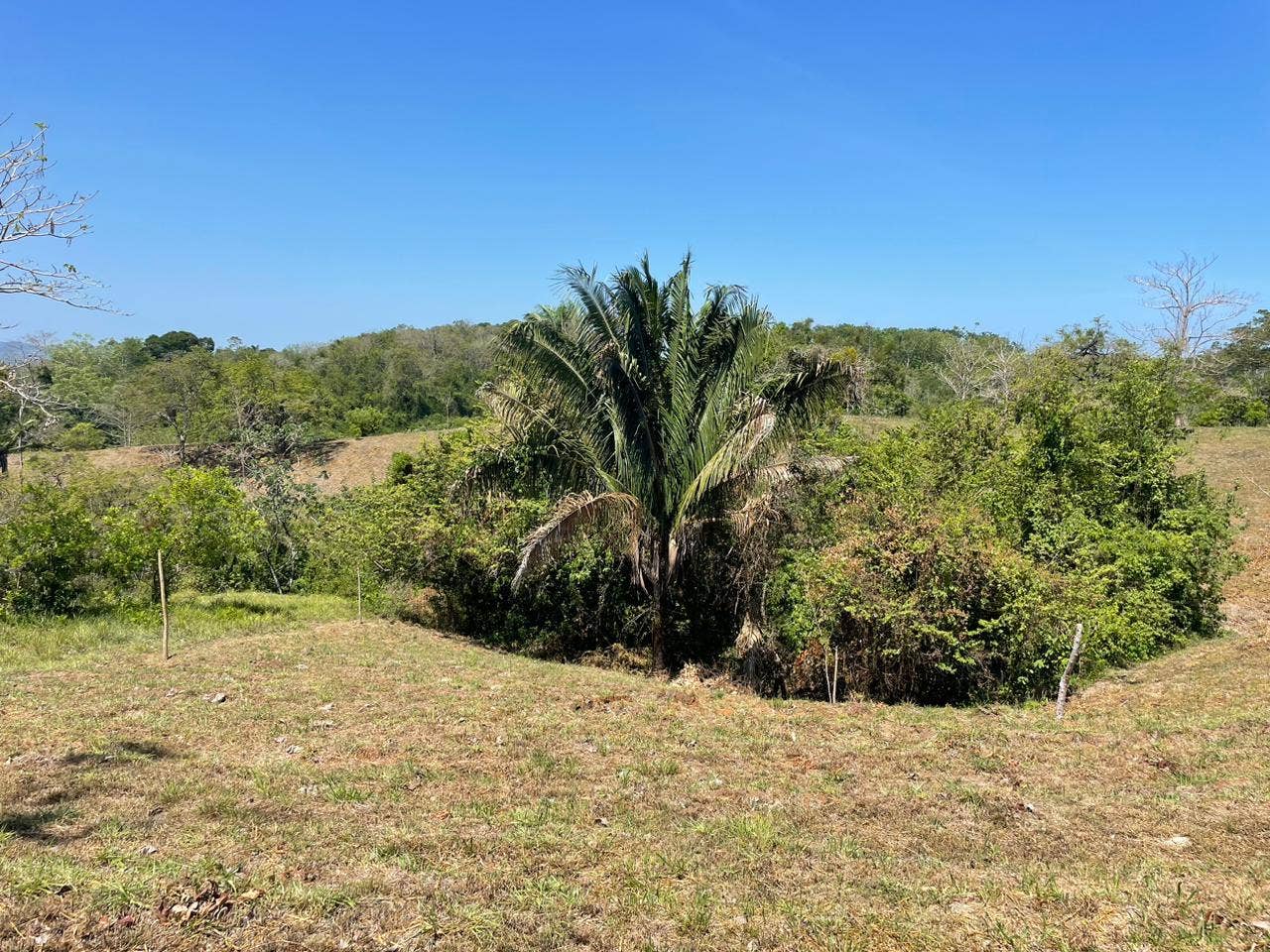 Santiago Lot With Views , Santiago, Santiago, Santa Teresa, Cobano, Puntarenas, Puntarenas, Costa Rica 60111 Santiago Lot With Views , Santiago, Santiago, Santa Teresa, Cobano, Puntarenas, Puntarenas, Costa Rica 60111