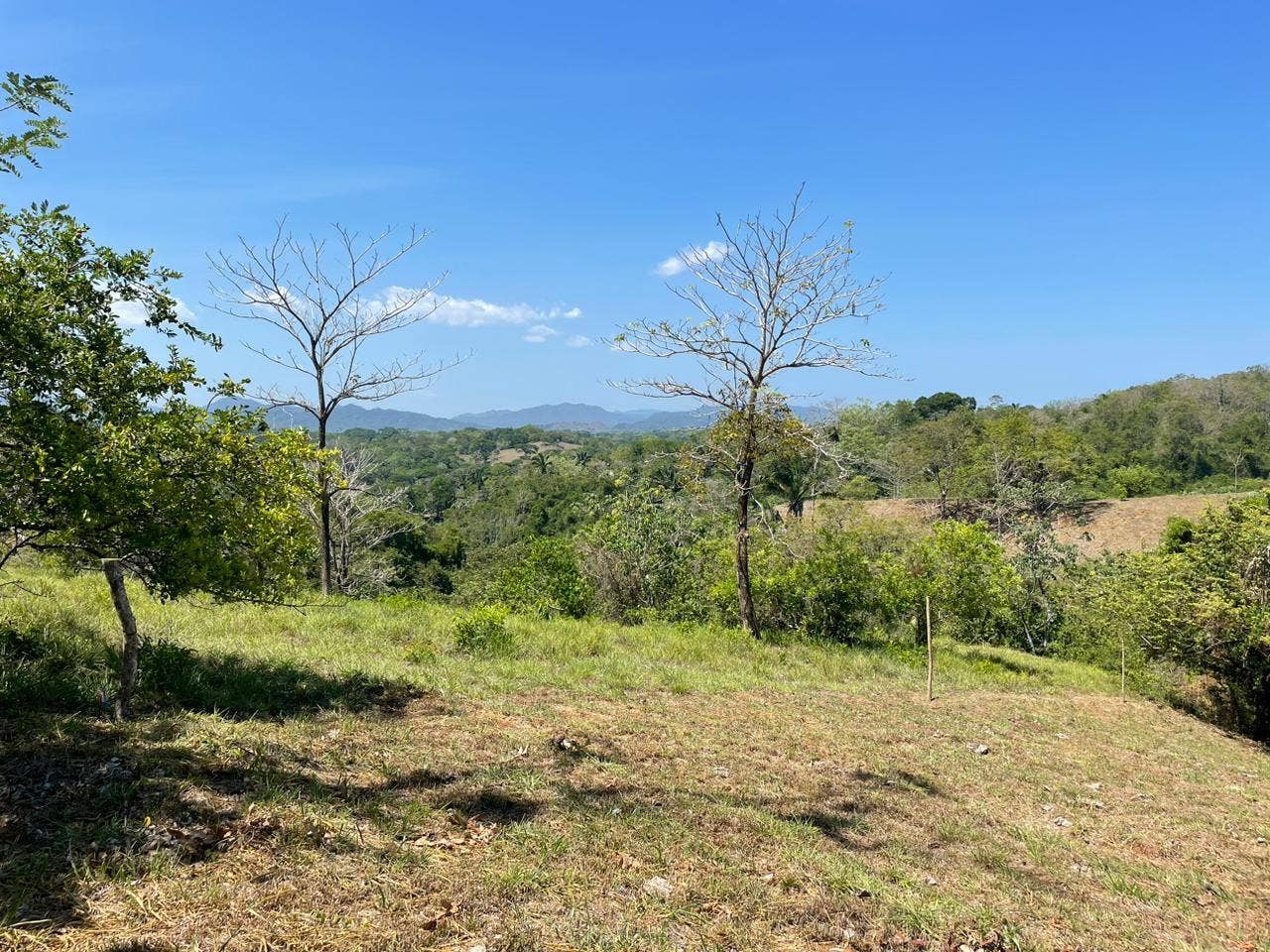 Santiago Lot With Views , Santiago, Santiago, Santa Teresa, Cobano, Puntarenas, Puntarenas, Costa Rica 60111 Santiago Lot With Views , Santiago, Santiago, Santa Teresa, Cobano, Puntarenas, Puntarenas, Costa Rica 60111