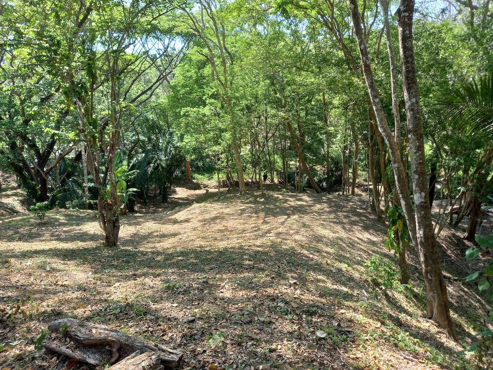 Manzanillo Jungle Lot — photo 2 of 11