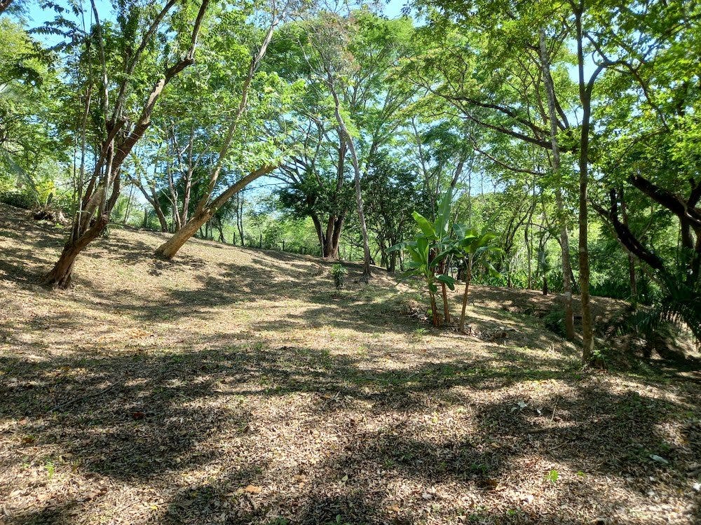 Manzanillo Jungle Lot — photo 3 of 11