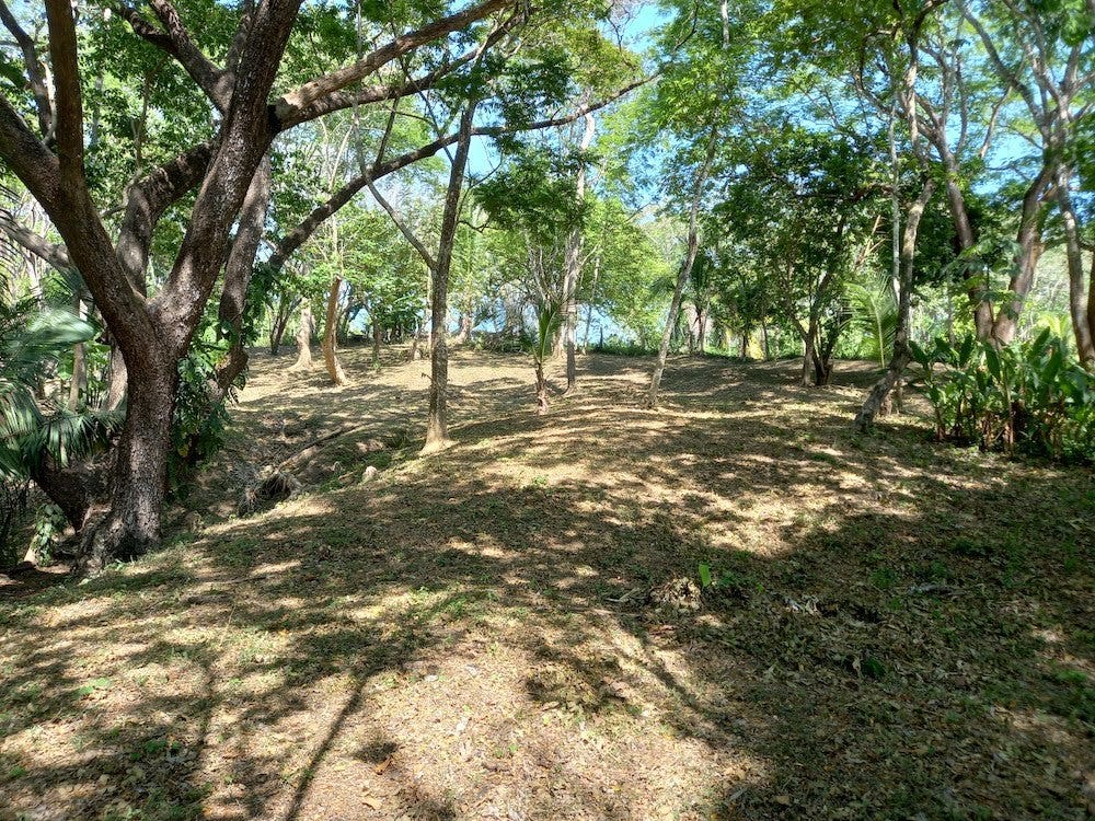 Manzanillo Jungle Lot — photo 11 of 11