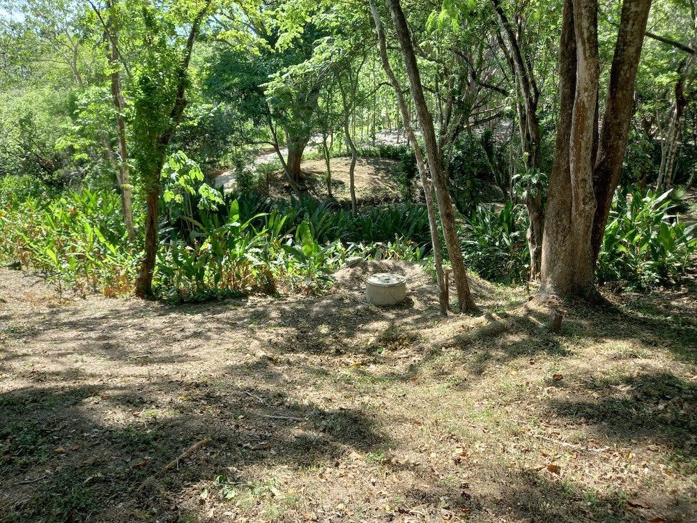 Manzanillo Jungle Lot — photo 7 of 11