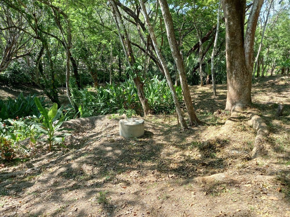 Manzanillo Jungle Lot — photo 9 of 11