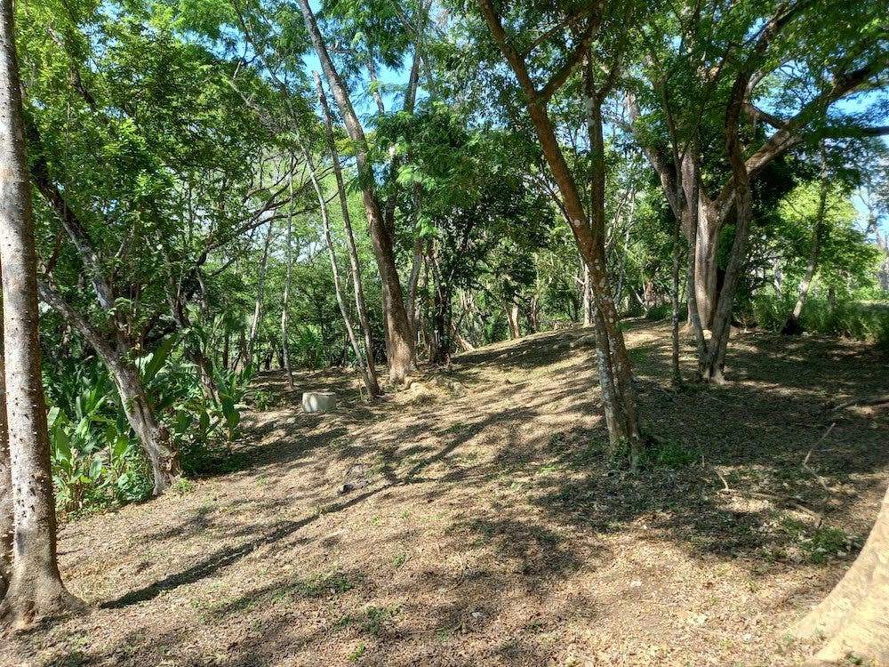 Manzanillo Jungle Lot — photo 8 of 11