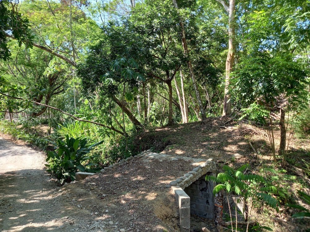 Manzanillo Jungle Lot — photo 10 of 11