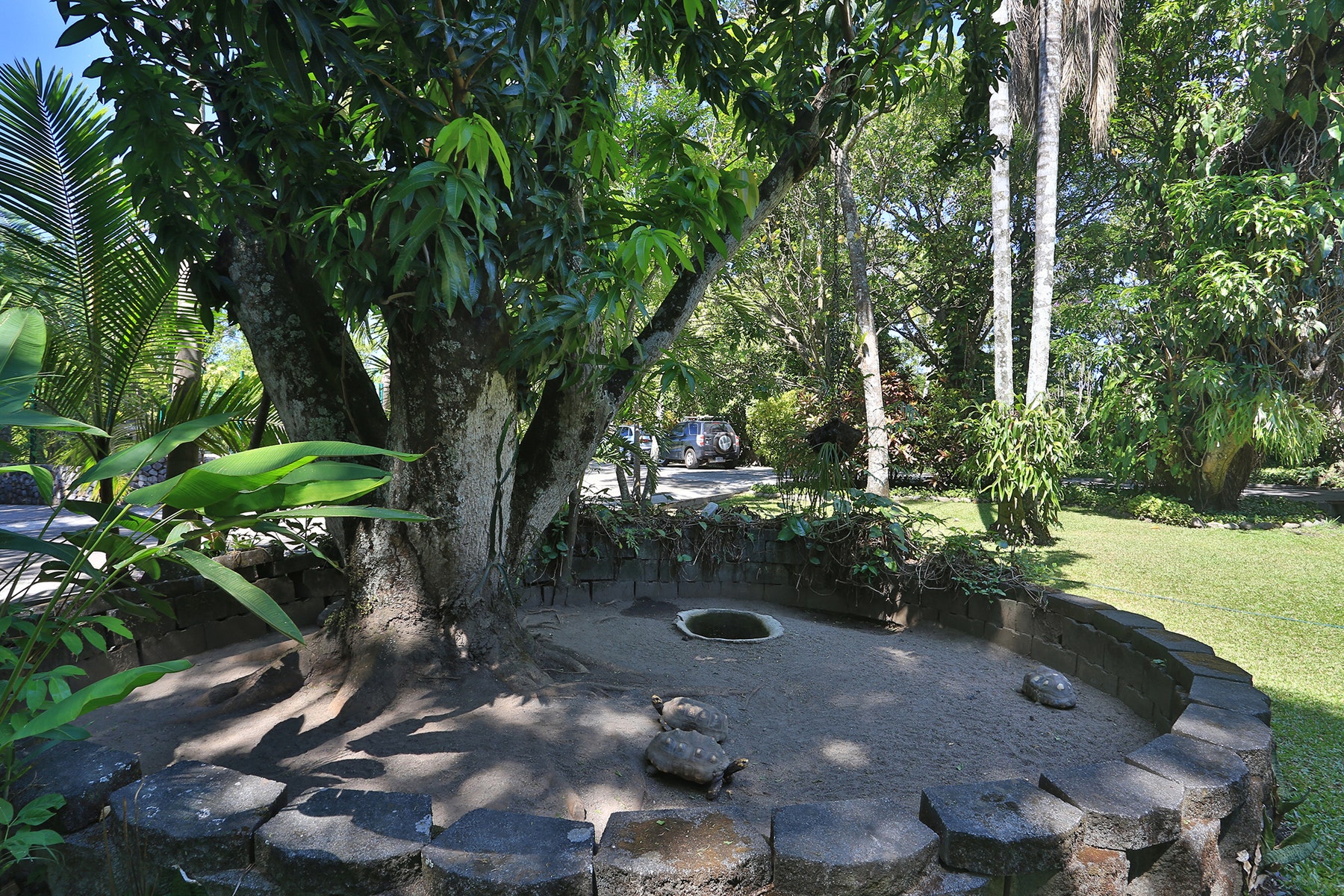 Botanic Garden Estate — foto 8 de 19