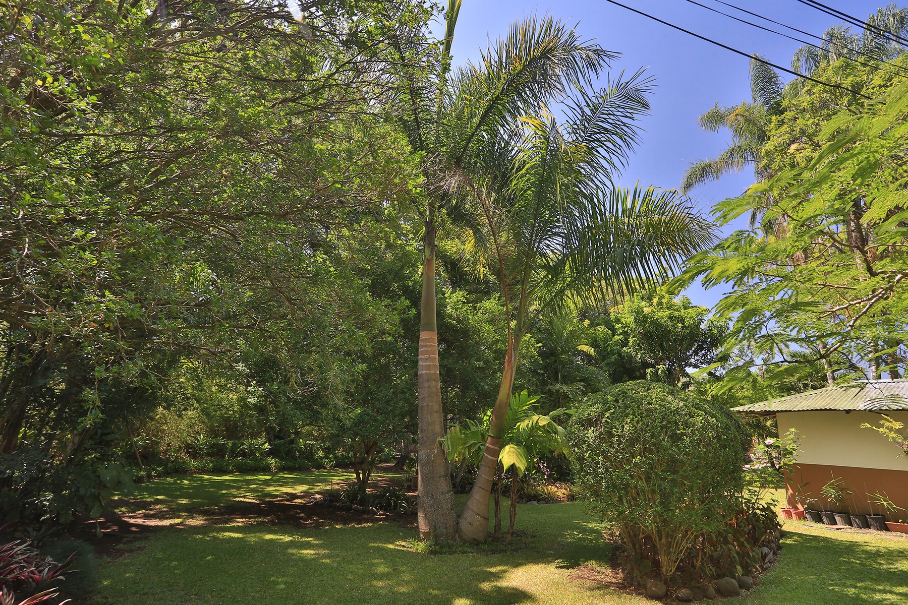Botanic Garden Estate — foto 5 de 19