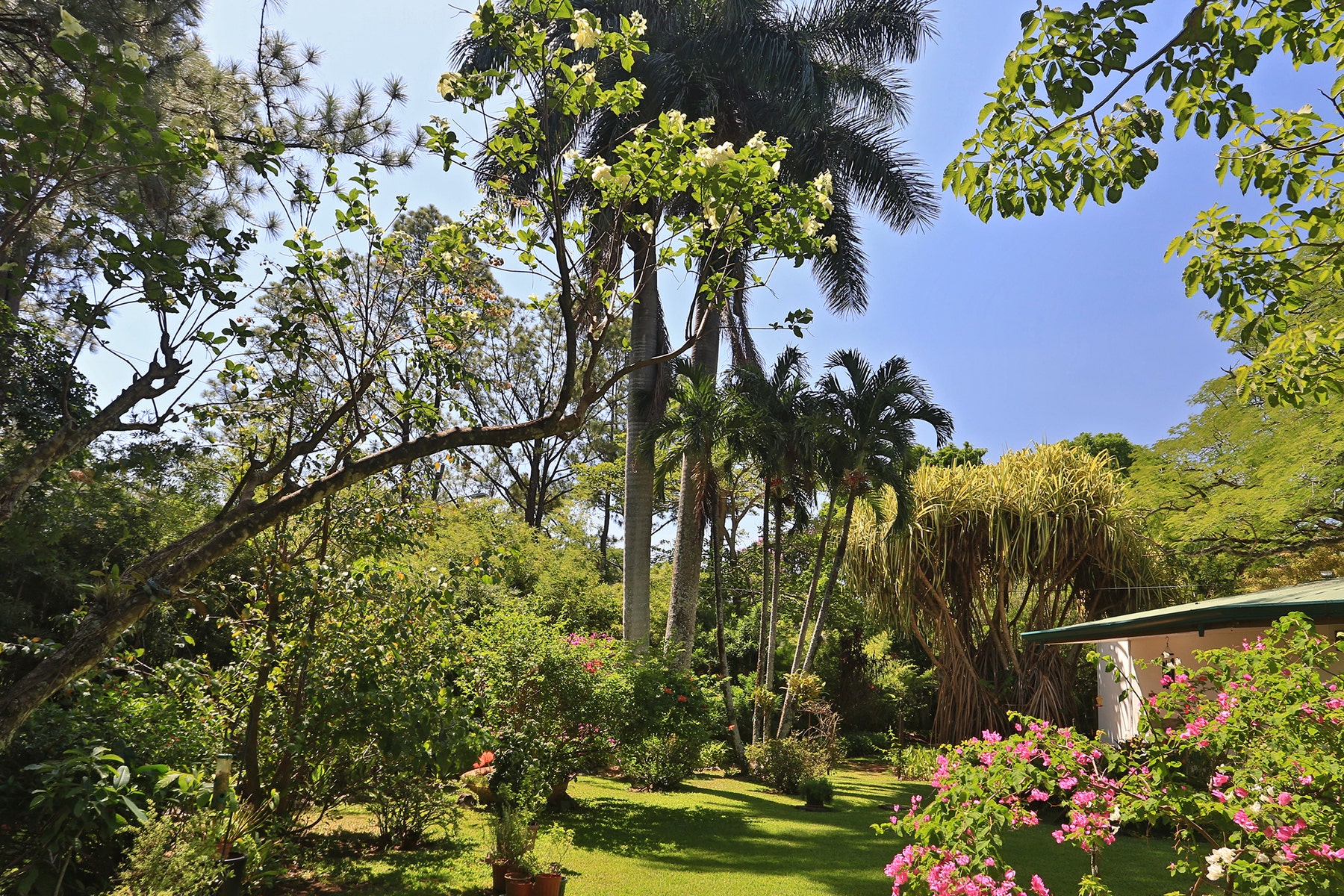 Botanic Garden Estate — foto 6 de 19