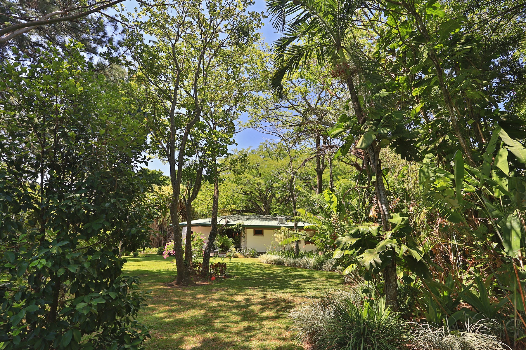Botanic Garden Estate — foto 3 de 19