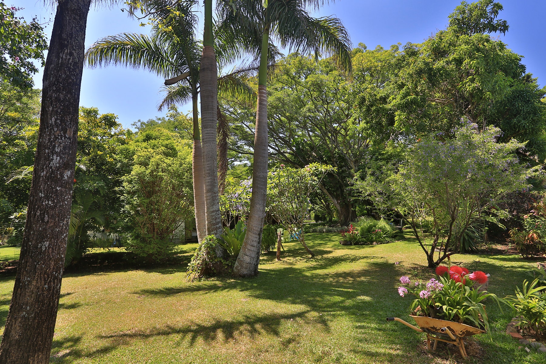 Botanic Garden Estate — foto 9 de 19