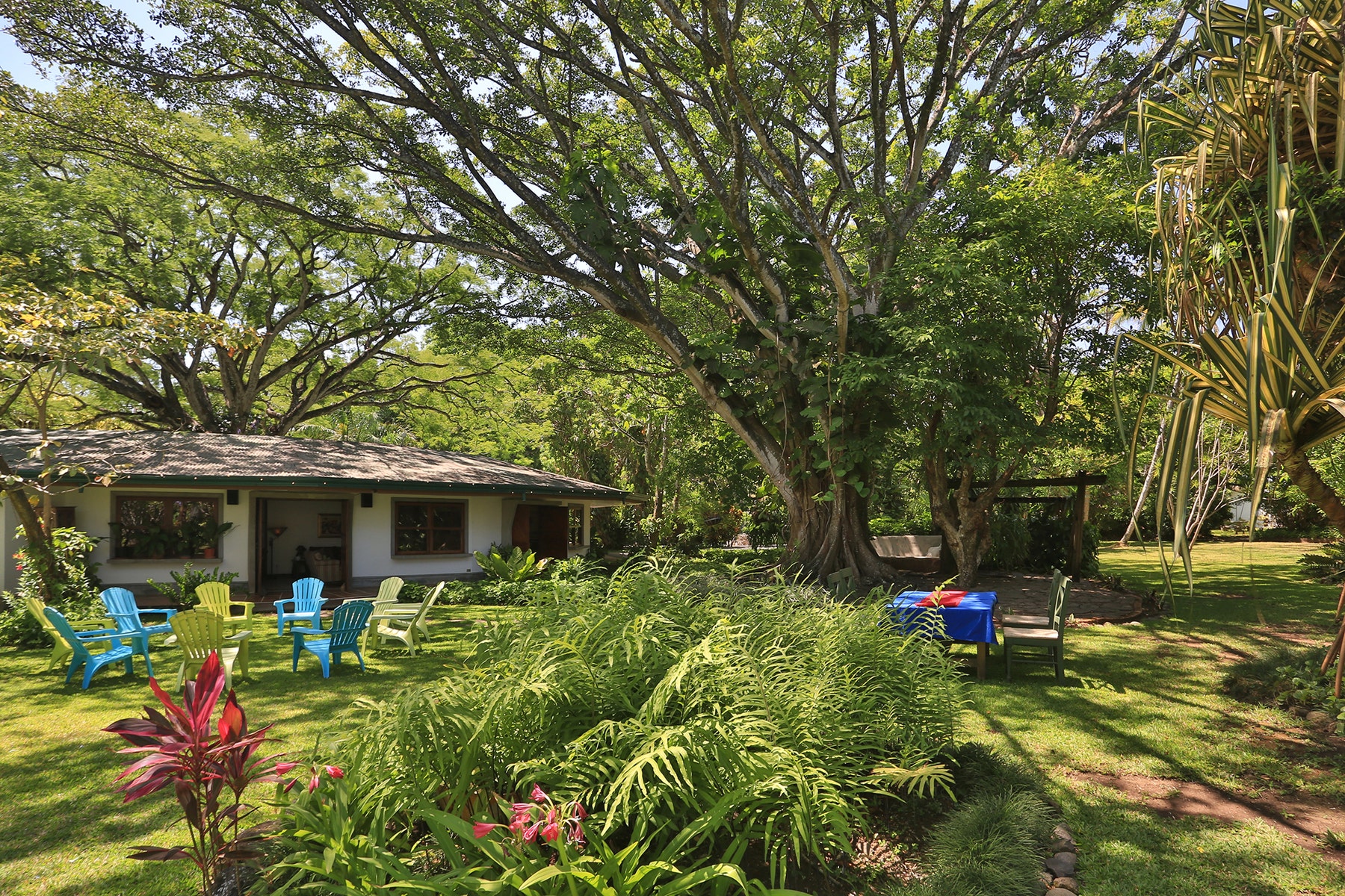 Botanic Garden Estate — foto 4 de 19