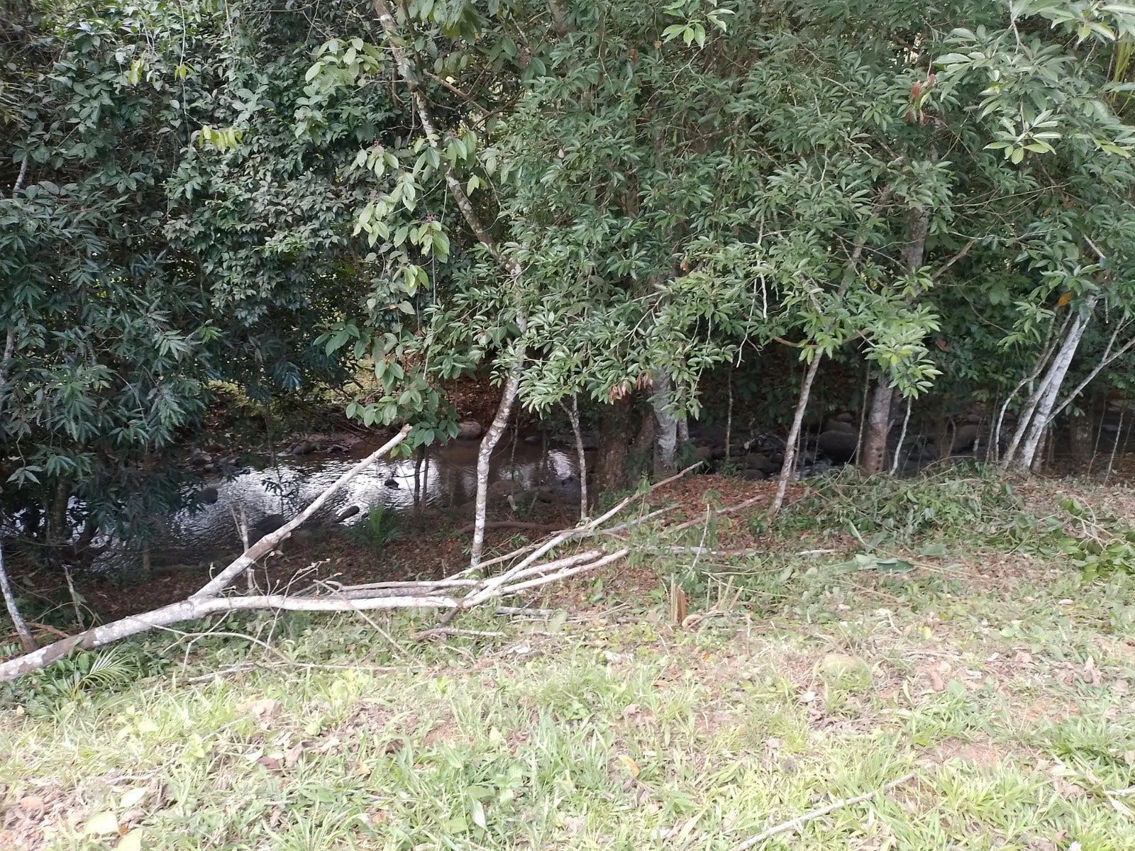 Private 3br House with Pool, Minutes from Town — photo 9 of 17