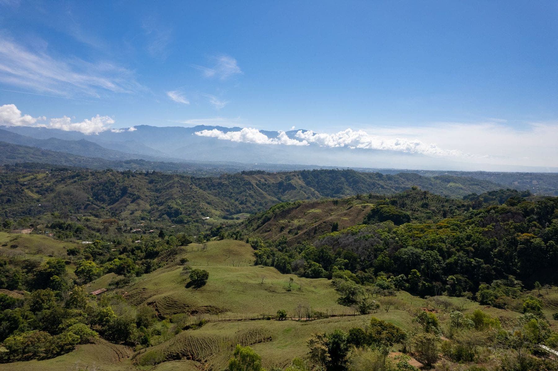 Two House Estate on Sixteen Acres with Mountain Views — photo 13 of 19