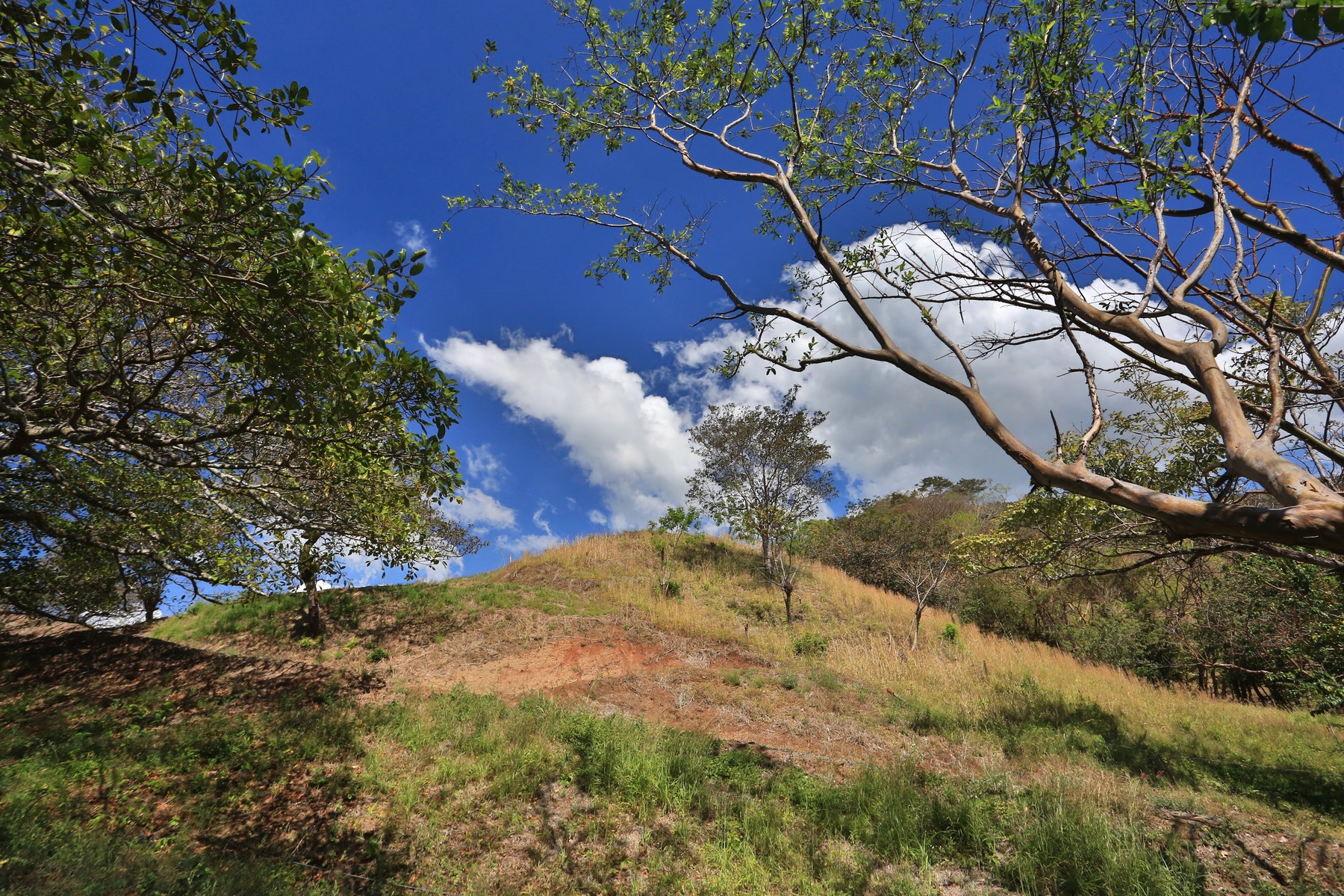 large buildable lot in escobal, #Lot 2, Atenas, Alajuela, Escobal, Atenas, Alajuela, Costa Rica 20508
