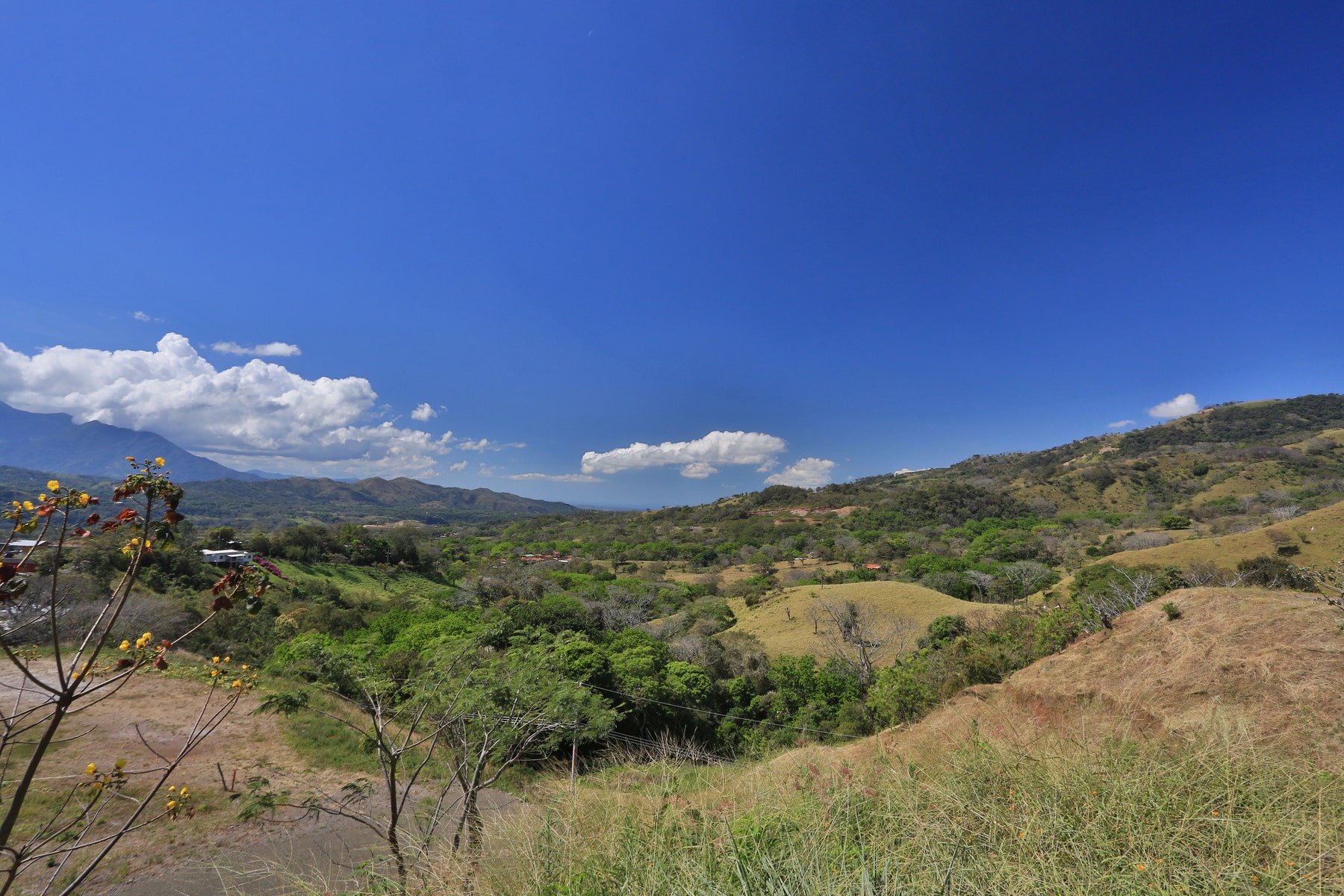 large buildable lot in escobal, #Lot 2 — photo 2 of 4