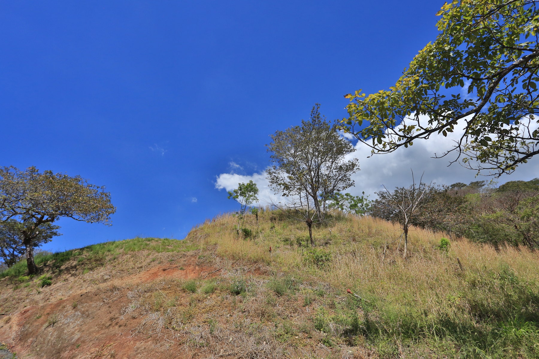large buildable lot in escobal, #Lot 2 — photo 4 of 4