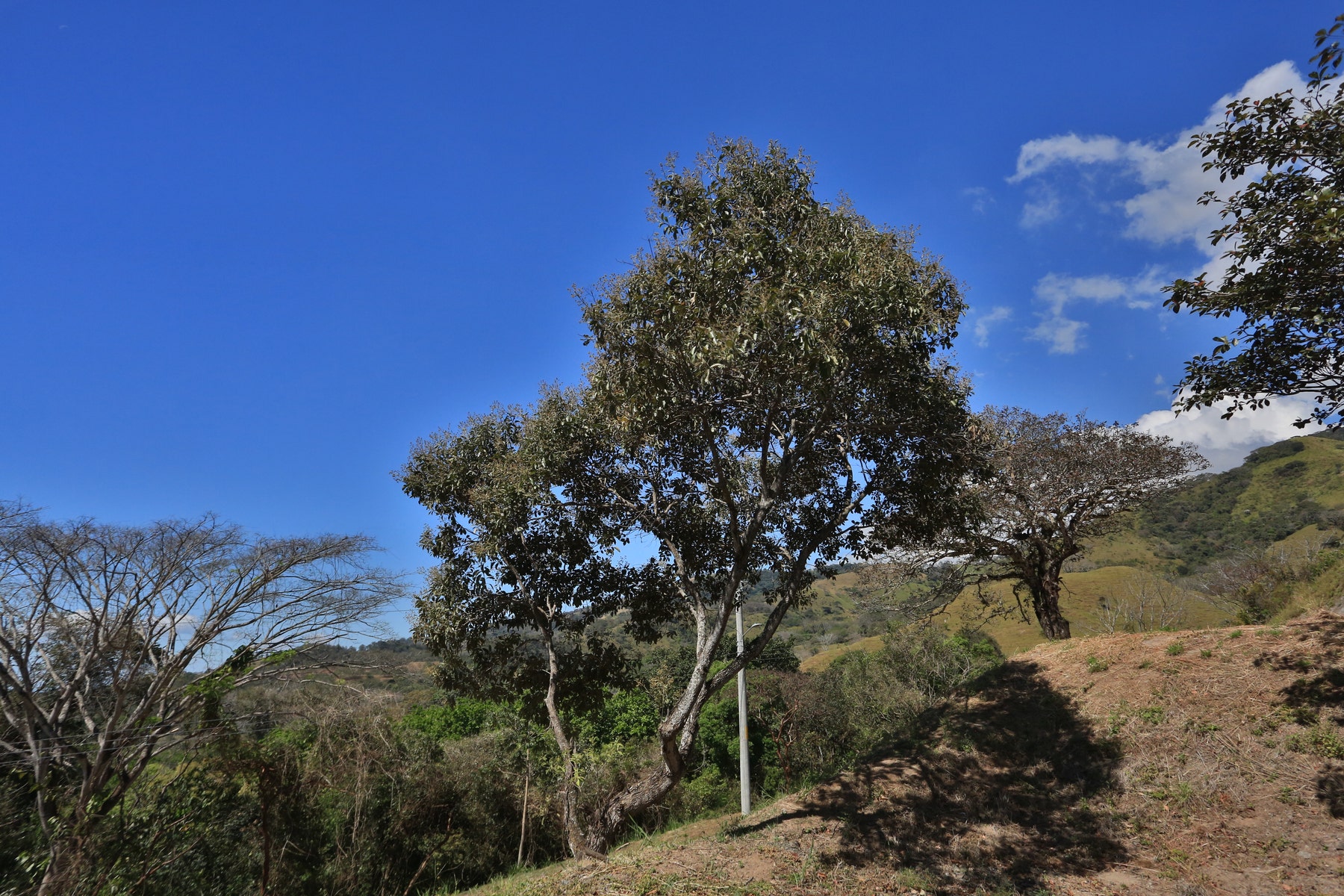 lot 1 with views, Atenas, Alajuela, Escobal, Atenas, Alajuela, Costa Rica — photo 3 of 5