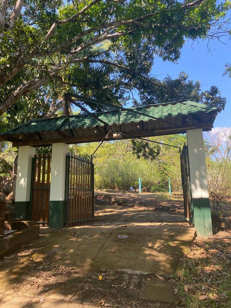 Property photo for Beautiful Small Farm with Mango Trees, Jaco, Tarcoles, Garabito, Puntarenas, Costa Rica
