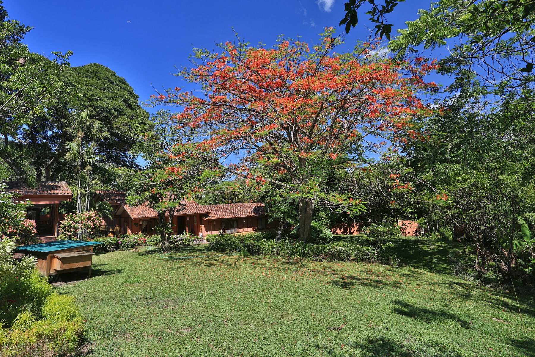 Two Home Rural Retreat, Santa Ana, Uruca, Santa Ana, San Jose, Costa Rica