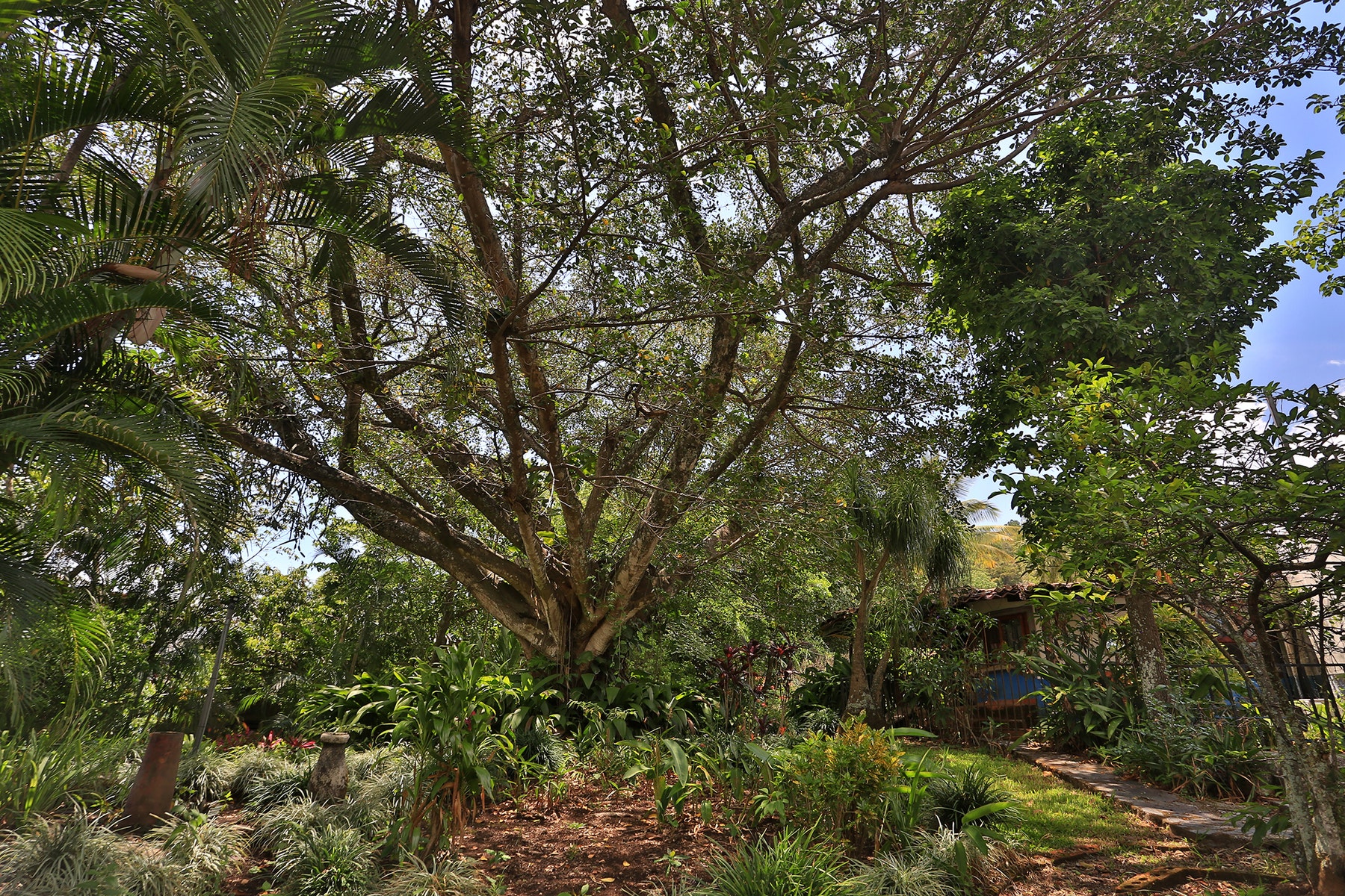 Two Home Rural Retreat, Santa Ana, Uruca, Santa Ana, San Jose, Costa Rica