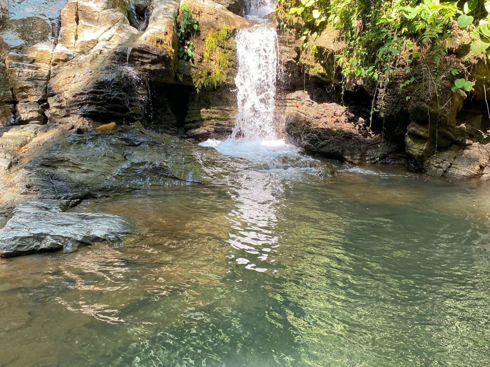 Incredible Property with Stunning Mountain and River Views, Golfito, Golfito, Golfito, Puntarenas, Costa Rica 60701 — photo 4 of 5