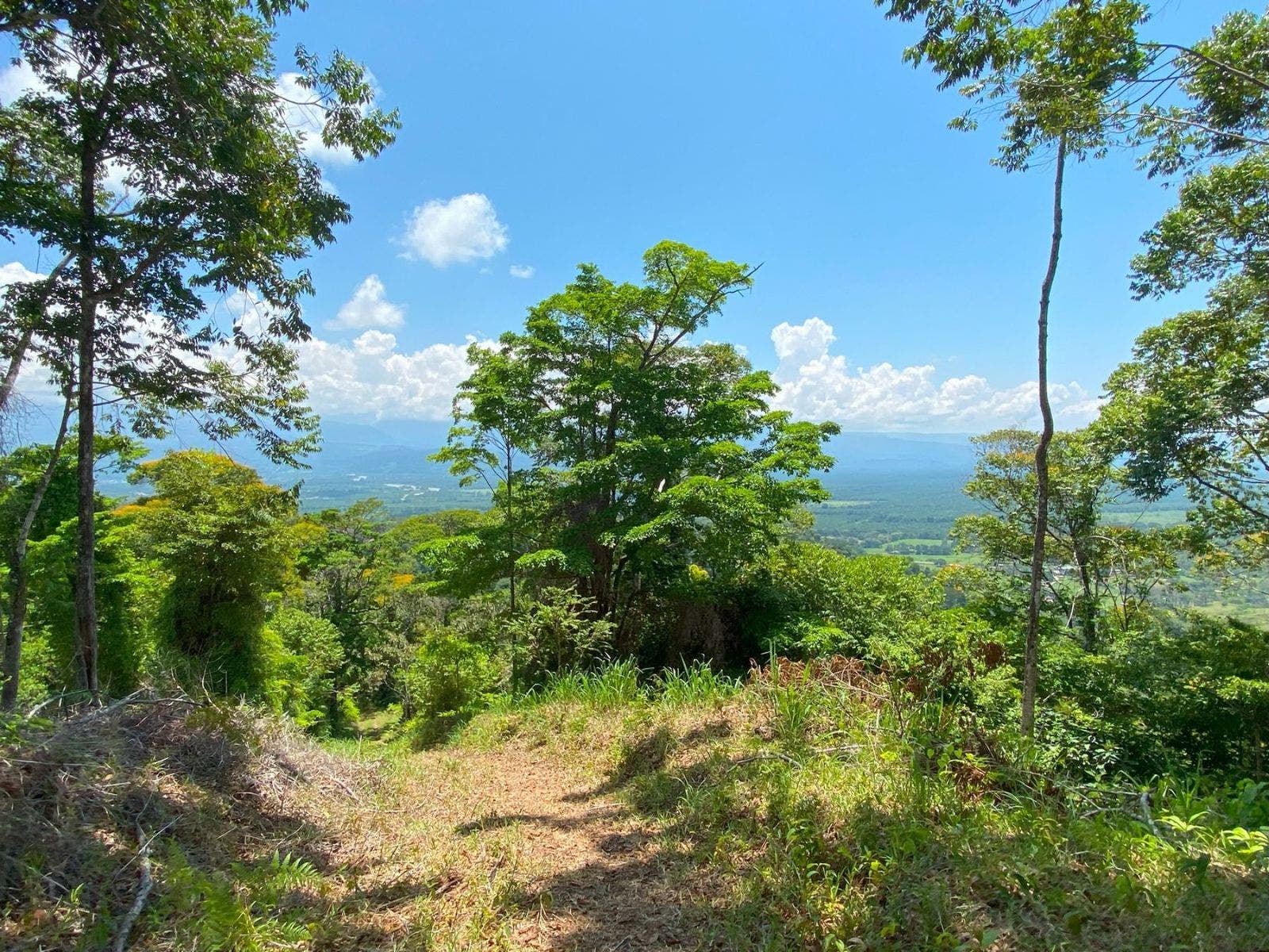 Incredible Property with Stunning Mountain and River Views — foto 12 de 16