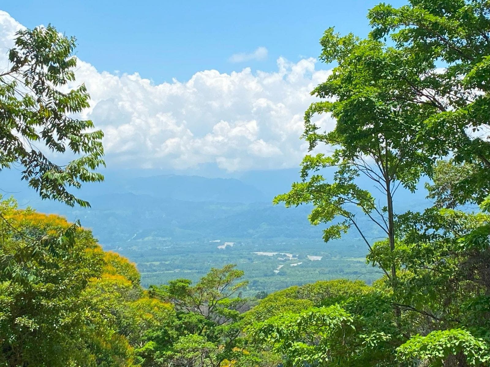Incredible Property with Stunning Mountain and River Views, Golfito, Golfito, Golfito, Puntarenas, Costa Rica 60701