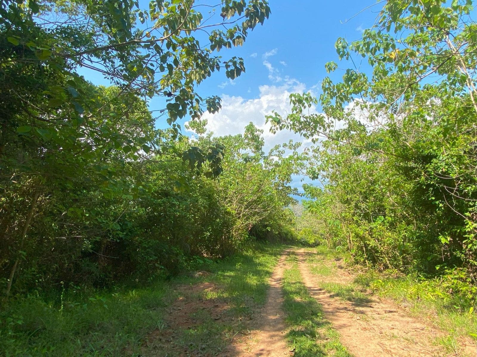 Incredible Property with Stunning Mountain and River Views, Golfito, Golfito, Golfito, Puntarenas, Costa Rica 60701 — photo 2 of 5