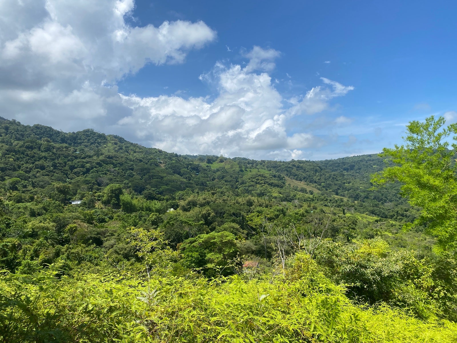 San Salvador, Tinamastes, Perez Zeledon, San Jose, Costa Rica