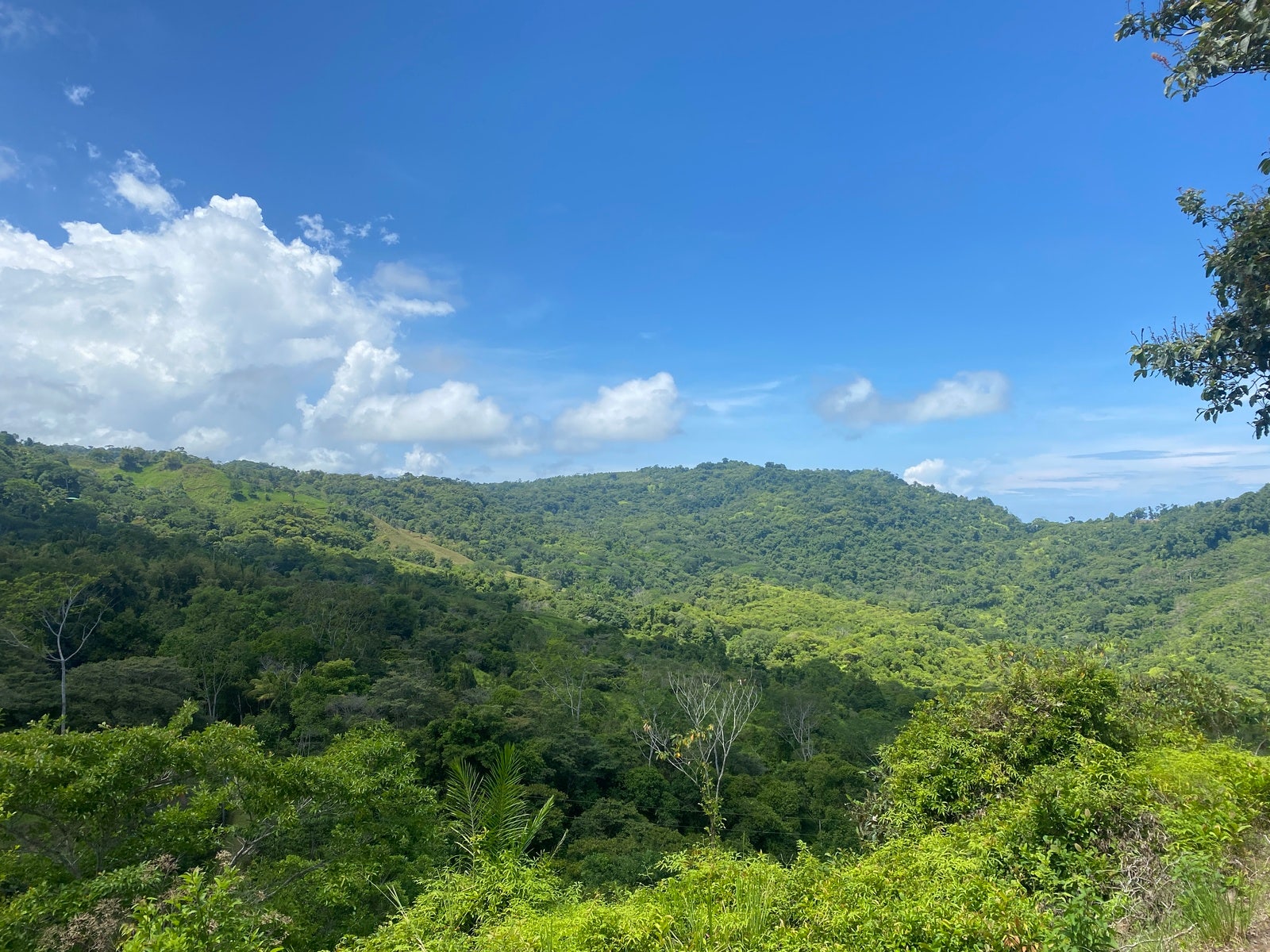 San Salvador — photo 8 of 14