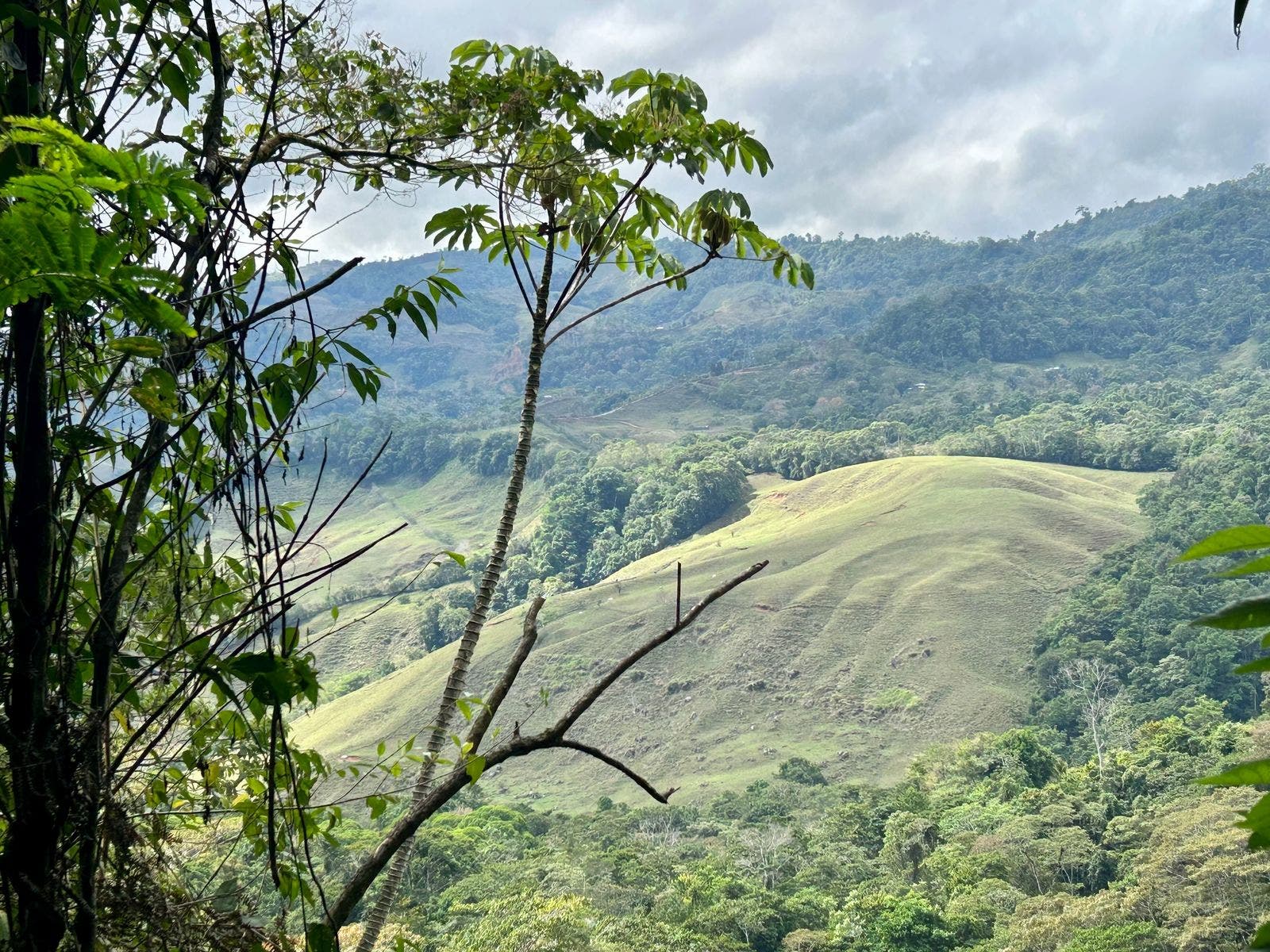 Scenic Mountain Farmland — photo 11 of 19