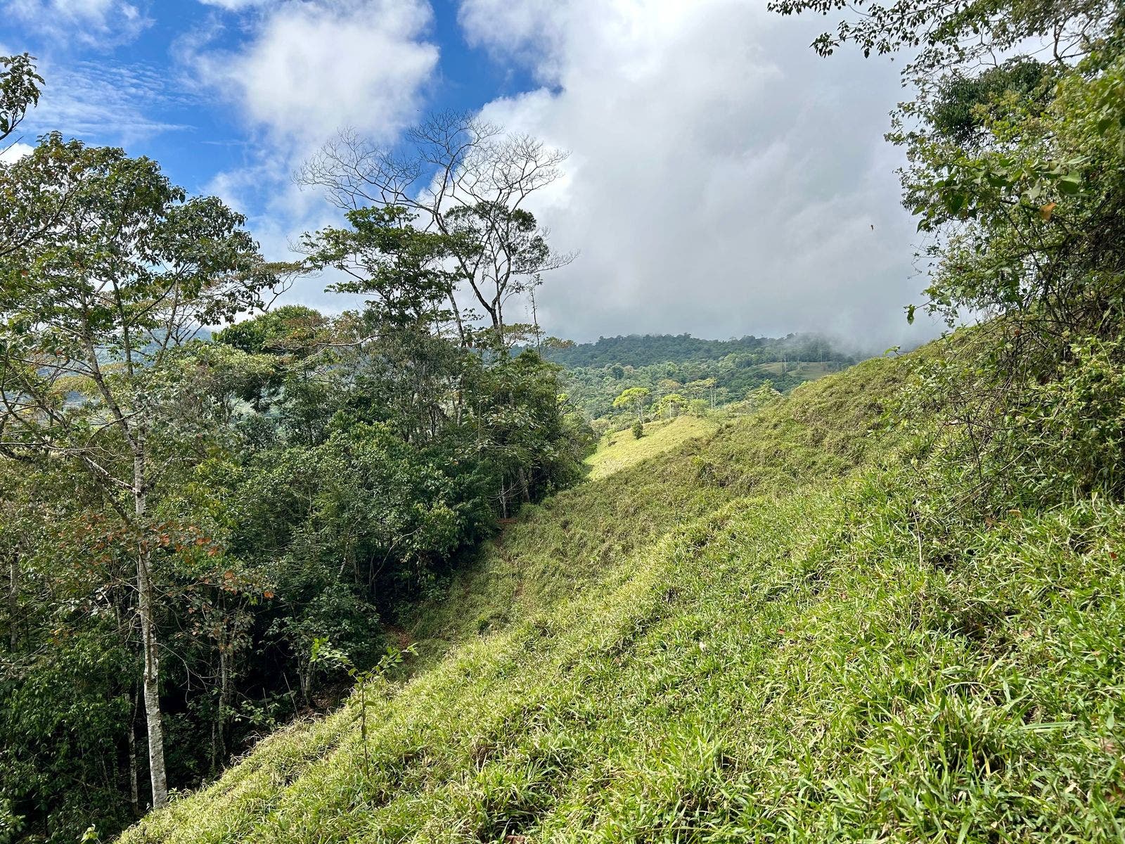 Scenic Mountain Farmland — photo 13 of 19