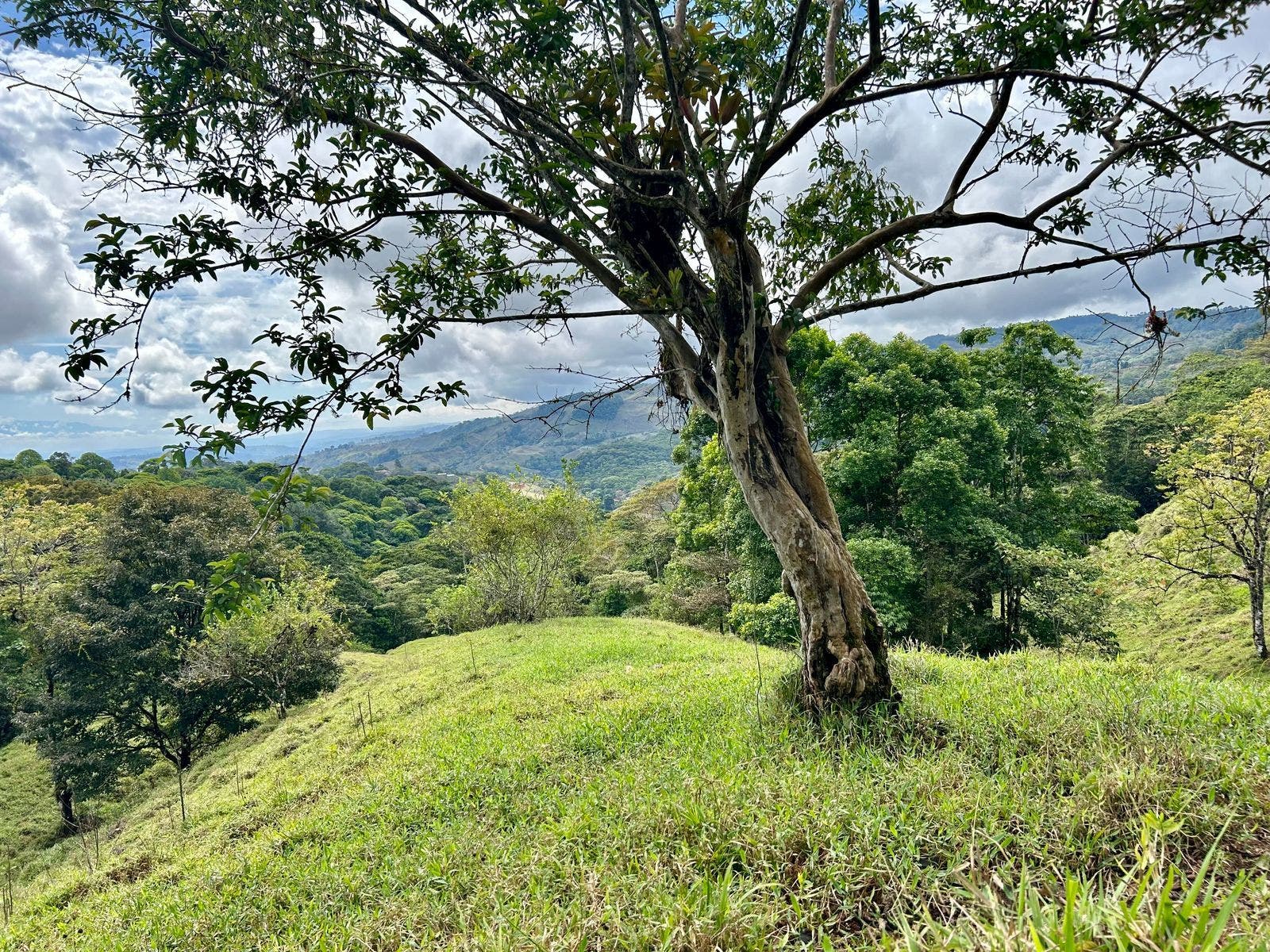 Scenic Mountain Farmland — photo 19 of 19