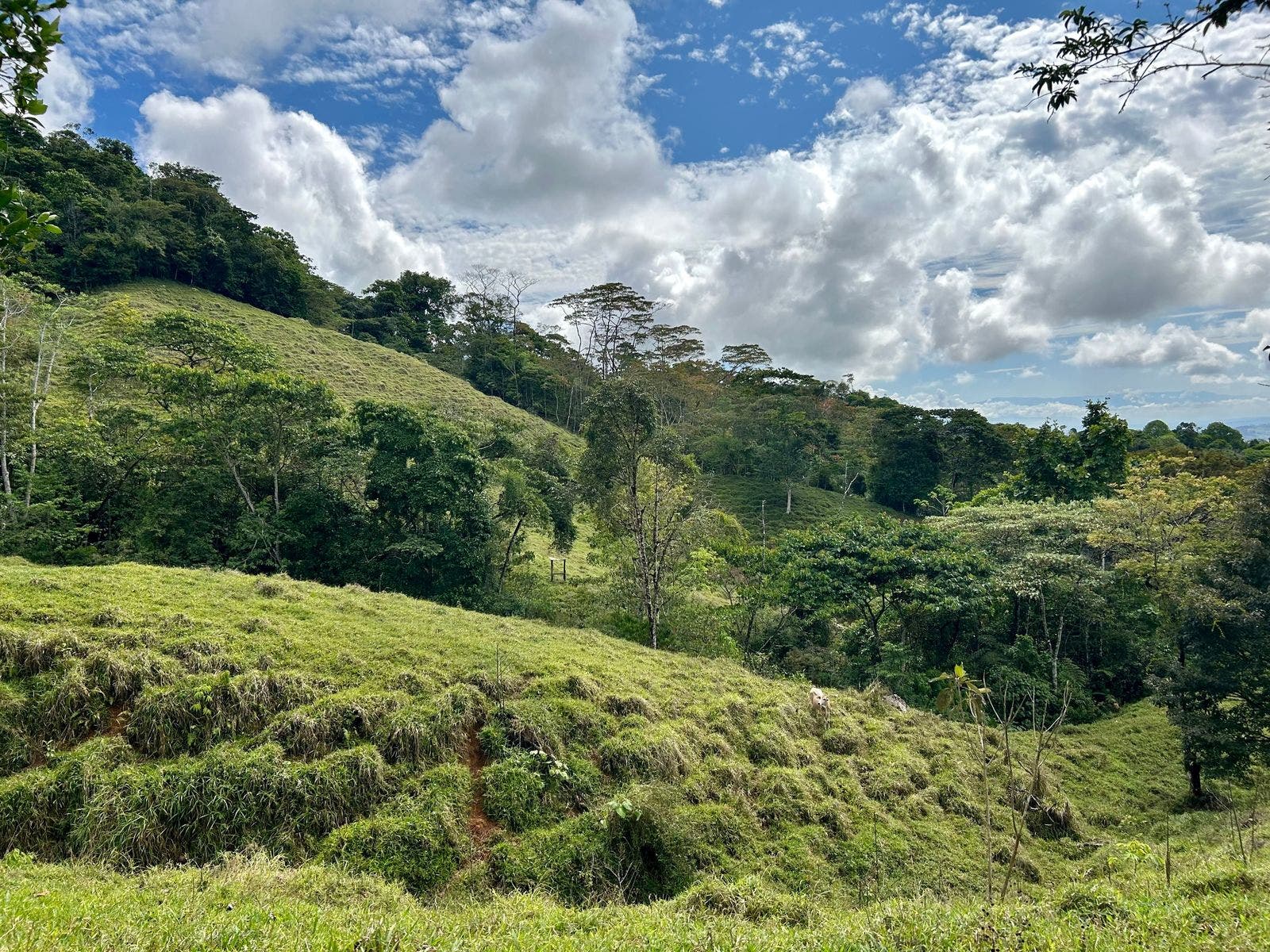 Scenic Mountain Farmland, El Alto, El Alto, Perez Zeledon, San Isidro De El General, Perez Zeledon, San Jose, Costa Rica 11901