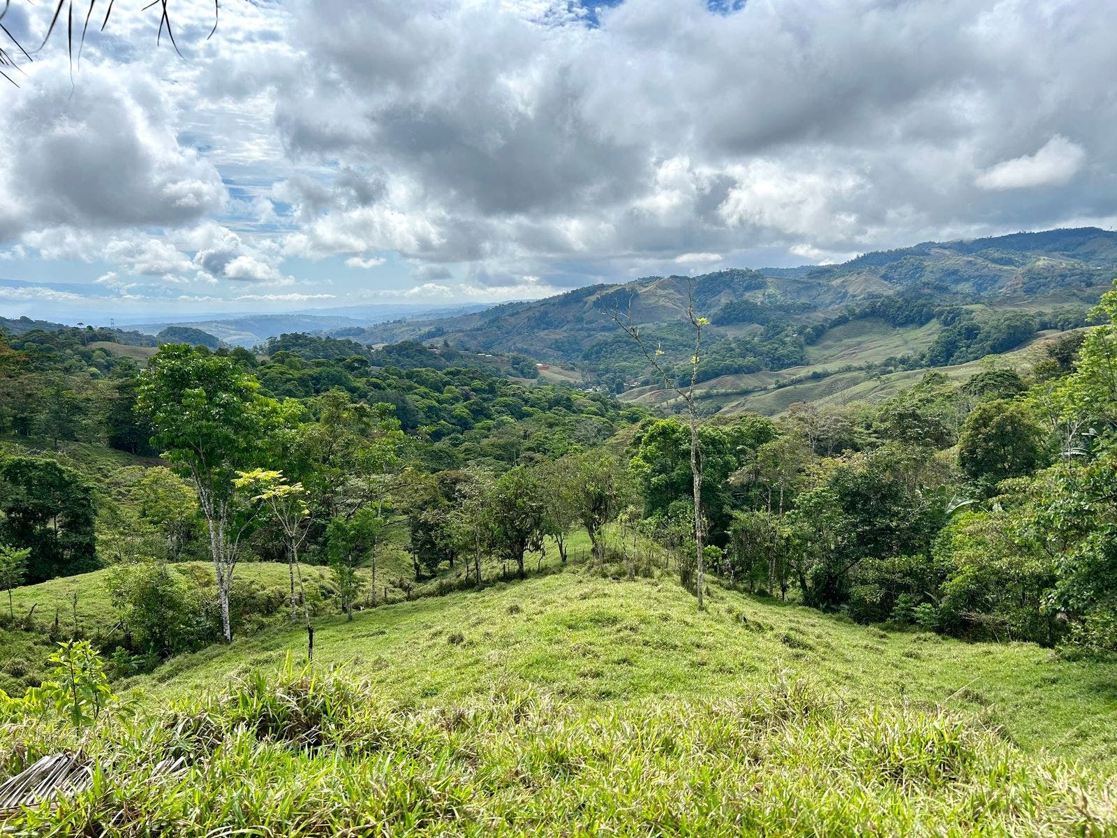 Scenic Mountain Farmland, El Alto, El Alto, Perez Zeledon, San Isidro De El General, Perez Zeledon, San Jose, Costa Rica 11901