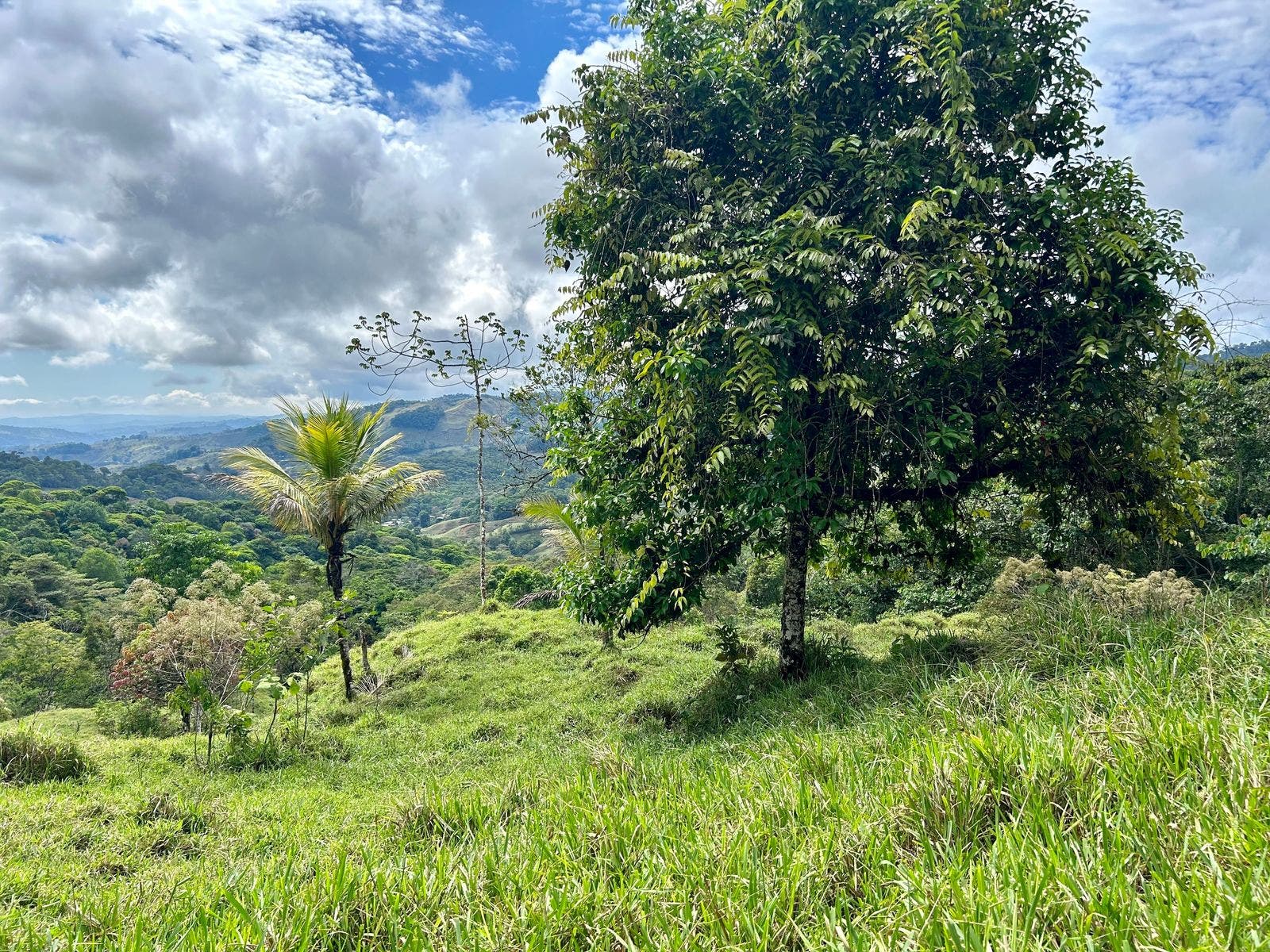 Scenic Mountain Farmland, El Alto, El Alto, Perez Zeledon, San Isidro De El General, Perez Zeledon, San Jose, Costa Rica 11901