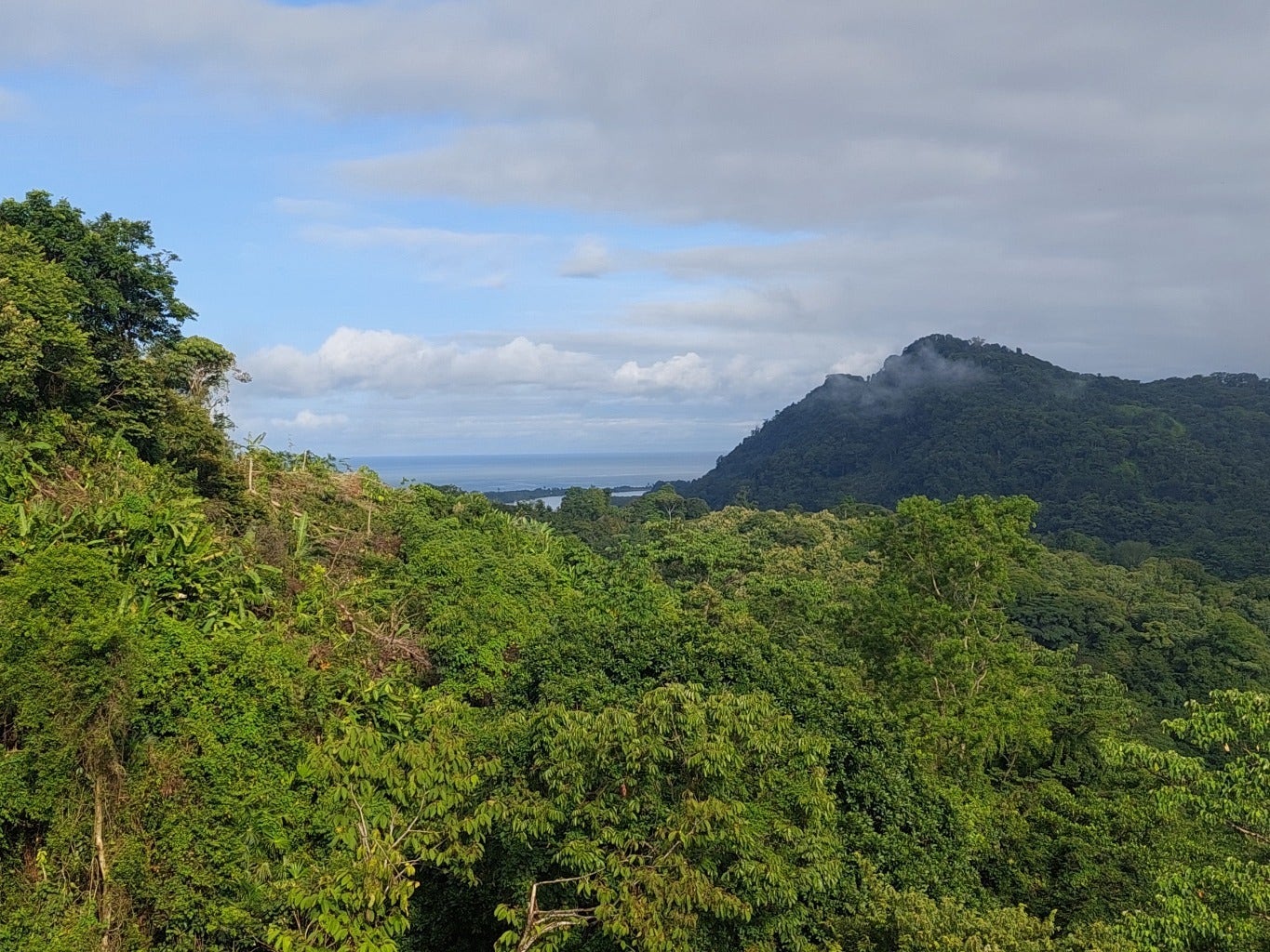 Tres Rios Private 5 Acre Ocean and Mountain View Lot, Tres Rios, Ojochal, Puerto Cortés, Osa, Puntarenas, Costa Rica 60501