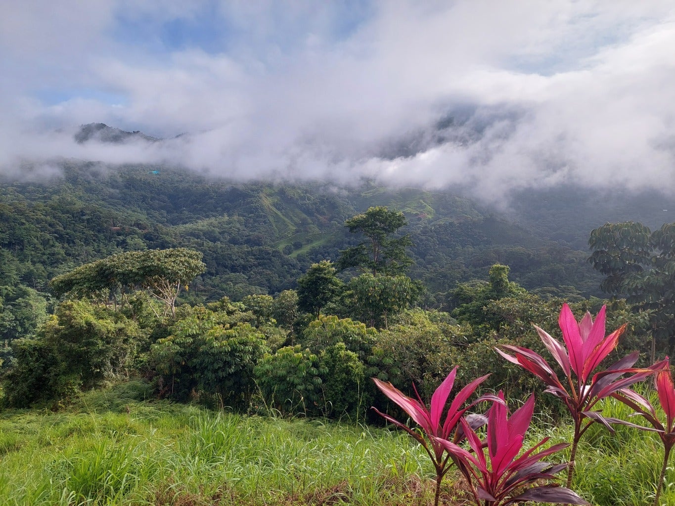Tres Rios Private 5 Acre Ocean and Mountain View Lot — photo 4 of 10