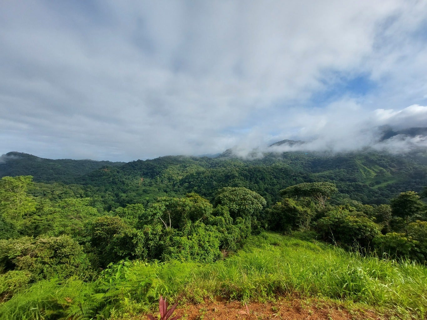 Tres Rios Private 5 Acre Ocean and Mountain View Lot — photo 6 of 10