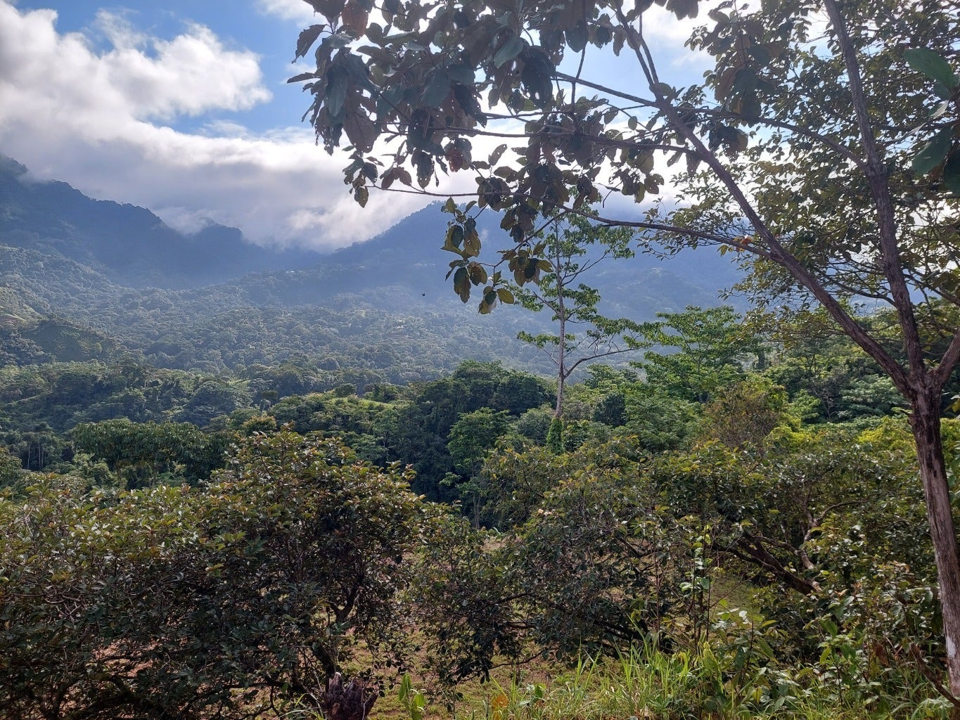 Tres Rios Private 5 Acre Ocean and Mountain View Lot — photo 10 of 10