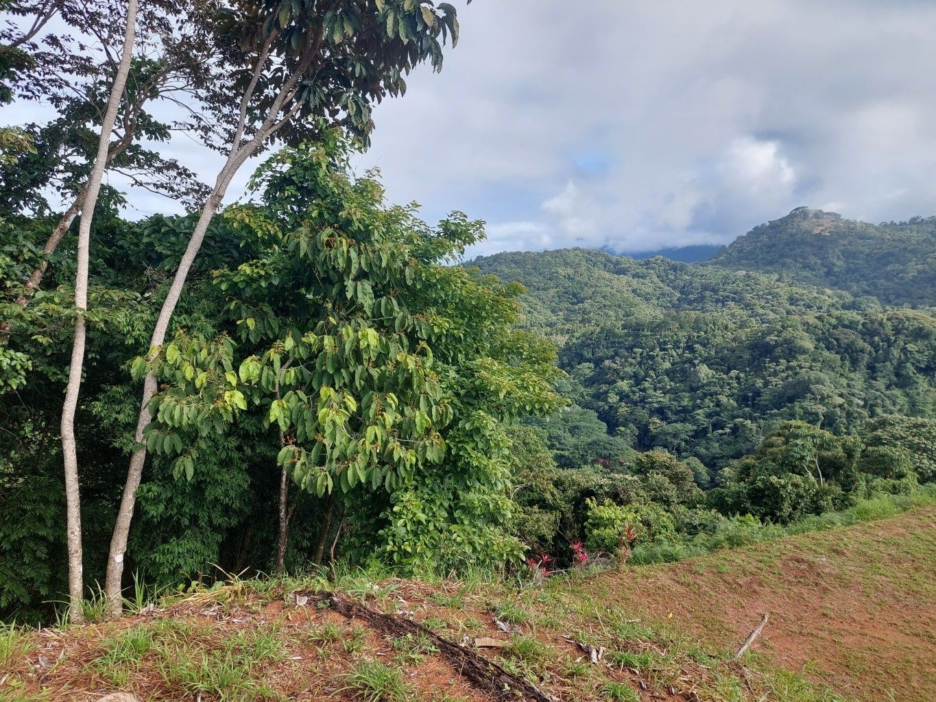 Tres Rios Private 5 Acre Ocean and Mountain View Lot — photo 9 of 10