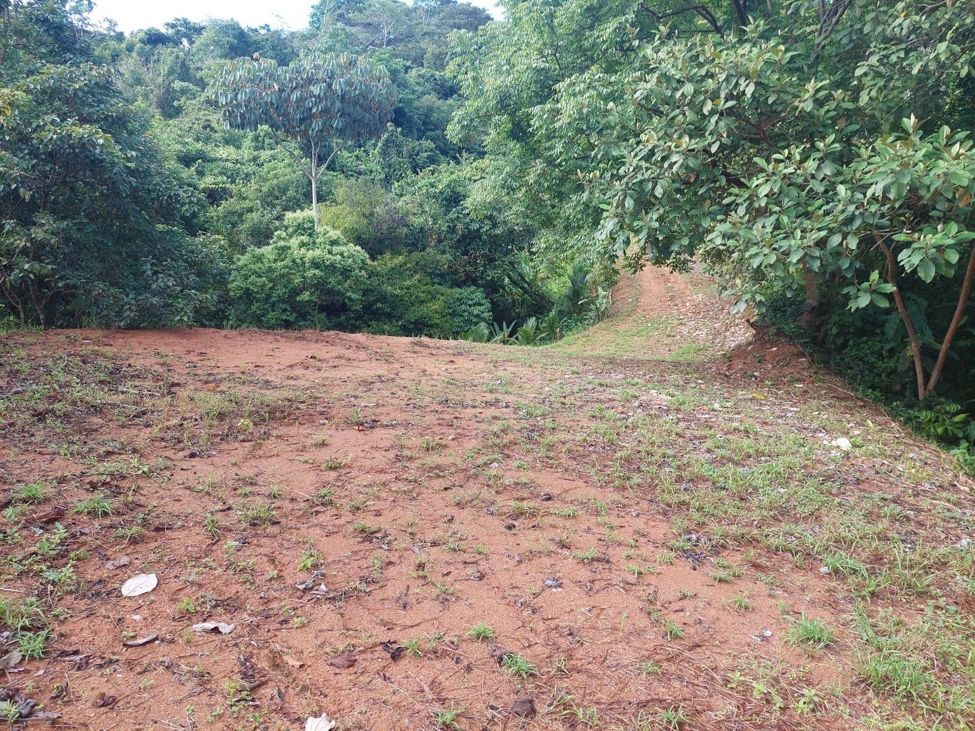 Tres Rios Private 5 Acre Ocean and Mountain View Lot — photo 2 of 10