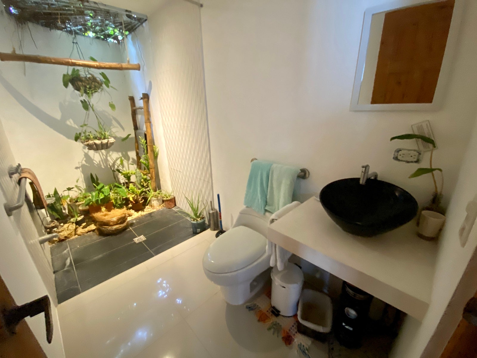 Two Homes in Santa Teresa — photo 11 of 19