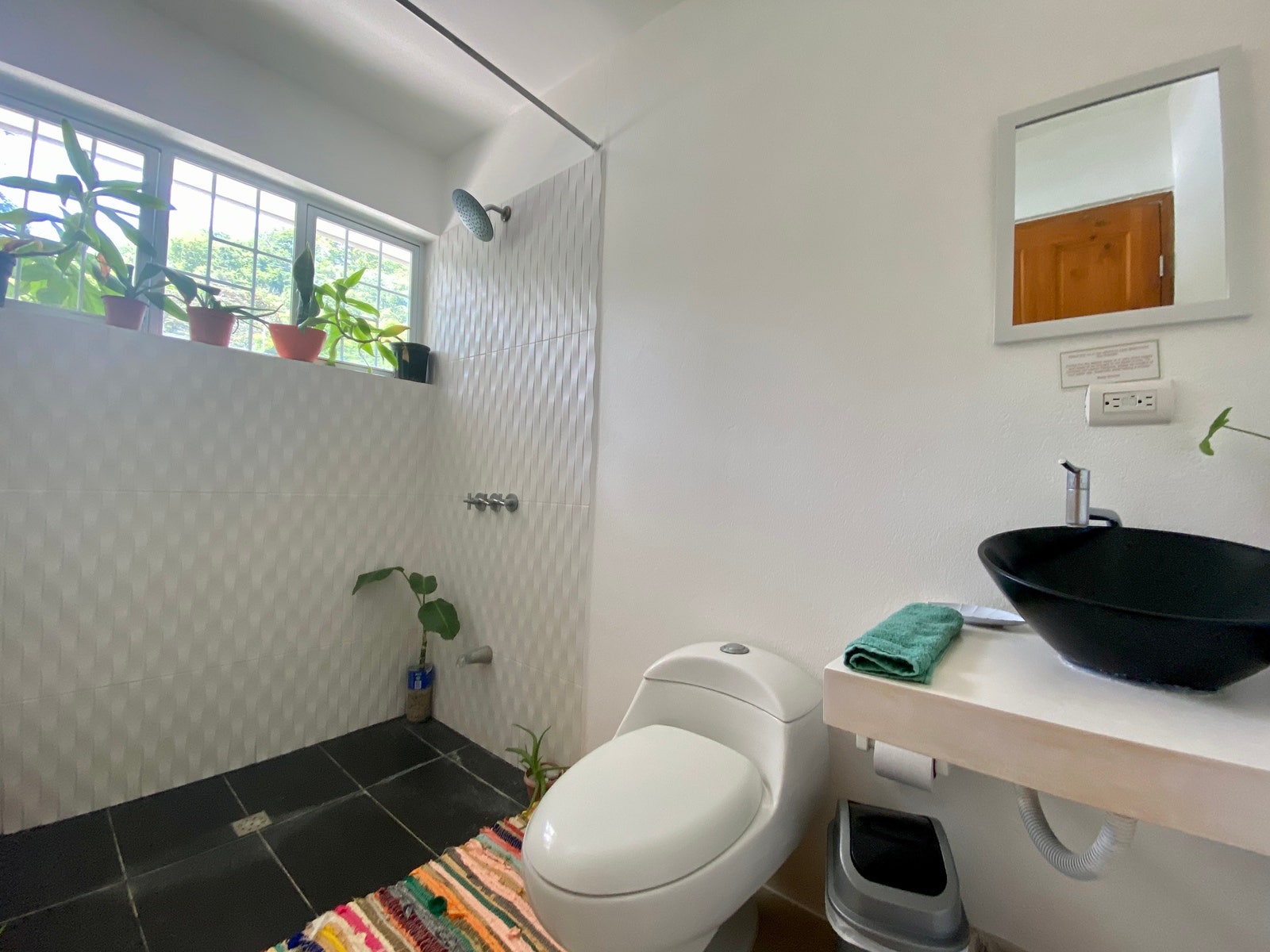 Two Homes in Santa Teresa — photo 18 of 19